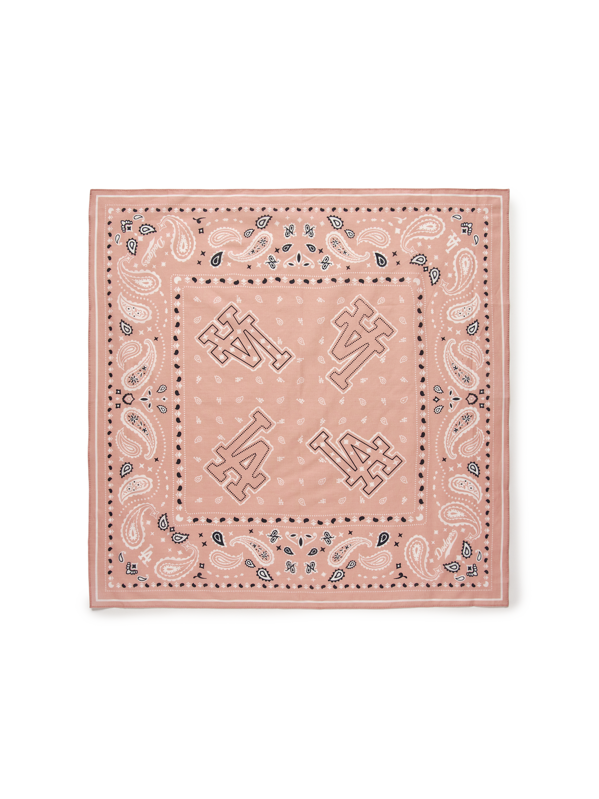 Paisley Bandana
