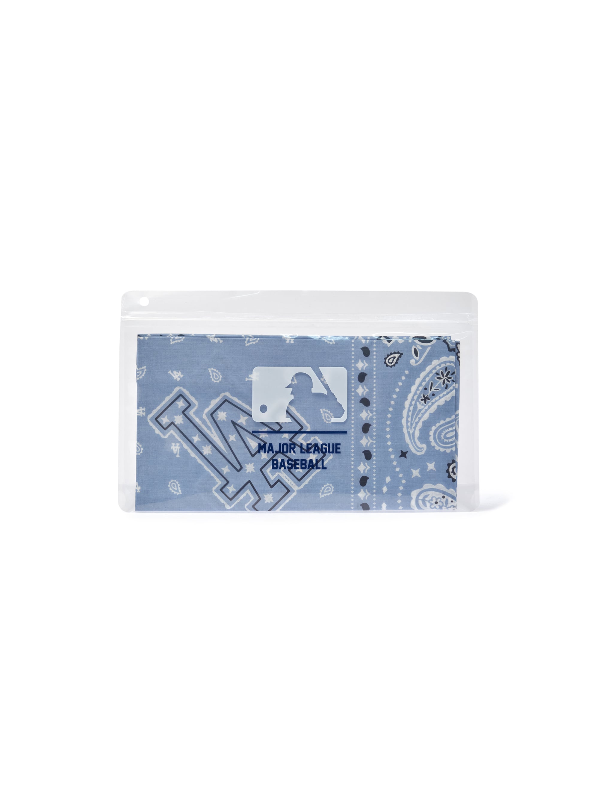 Paisley Bandana