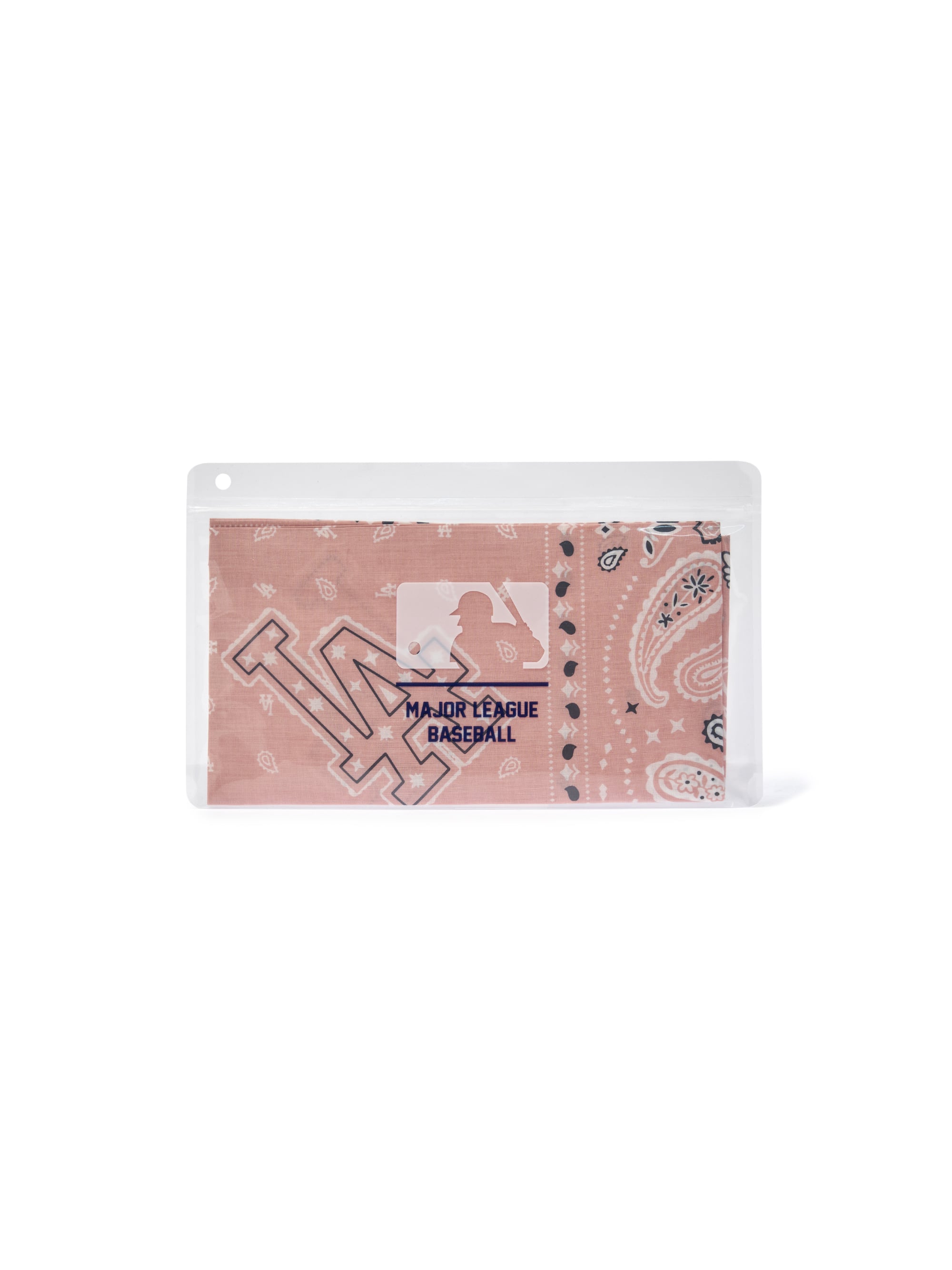 Paisley Bandana