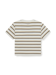 Women's Sportive Stripe Crop T-Shirts