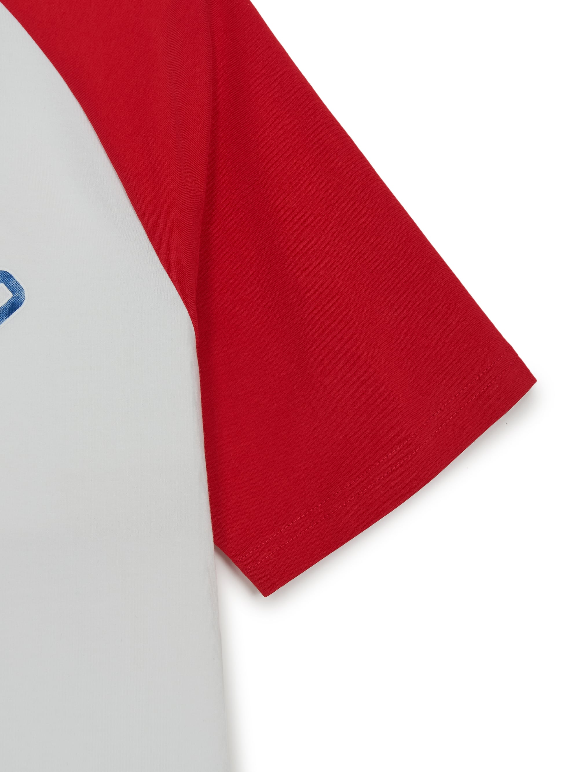 Sportive Mascot Raglan T-shirt
