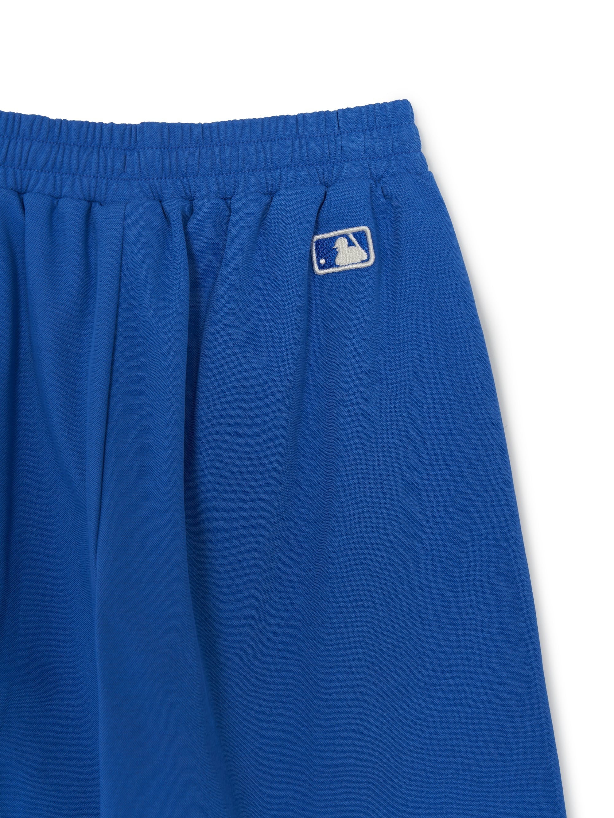 VARSITY BIG LOGO Shorts