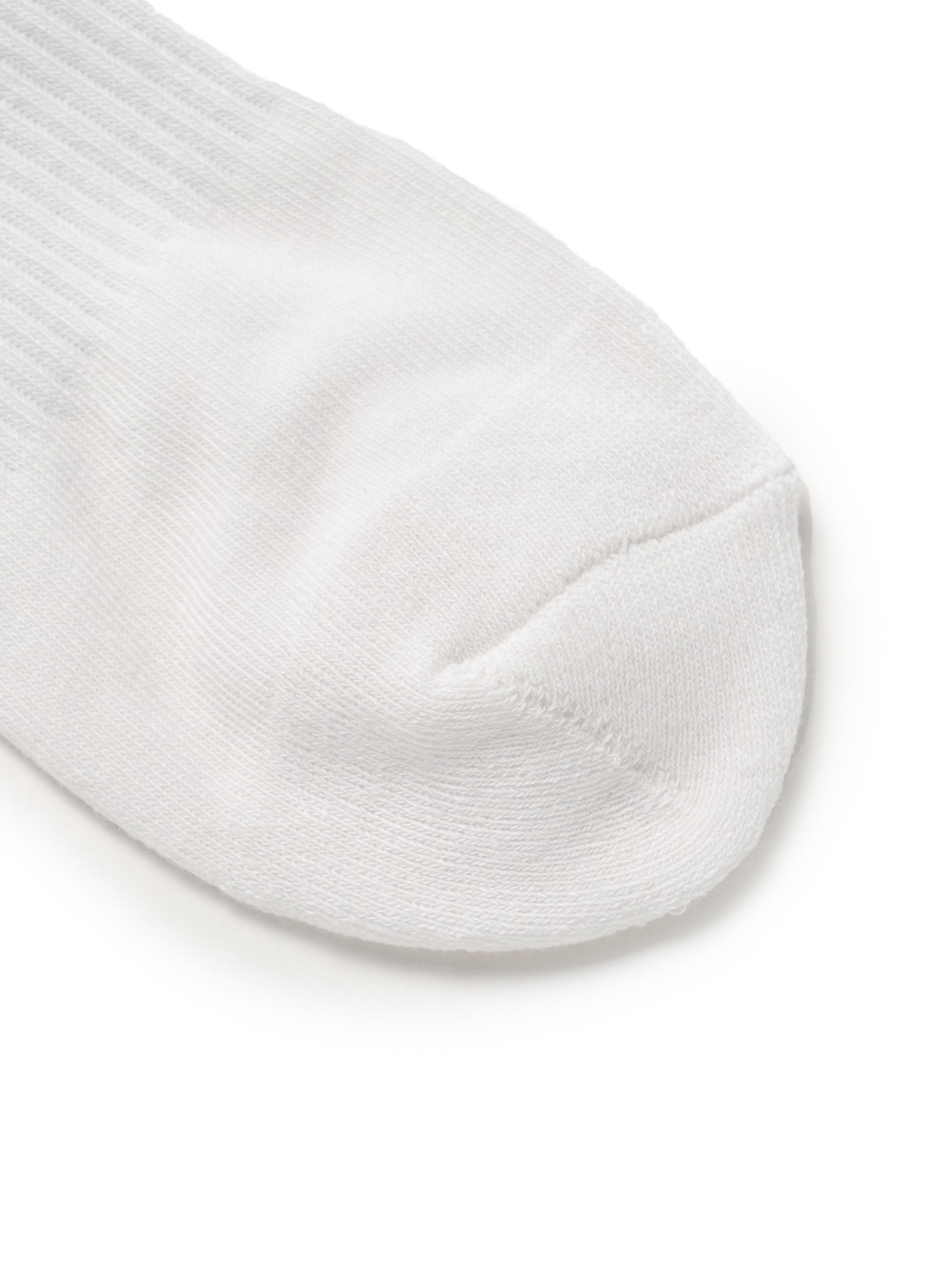 Big Logo Stripe Socks