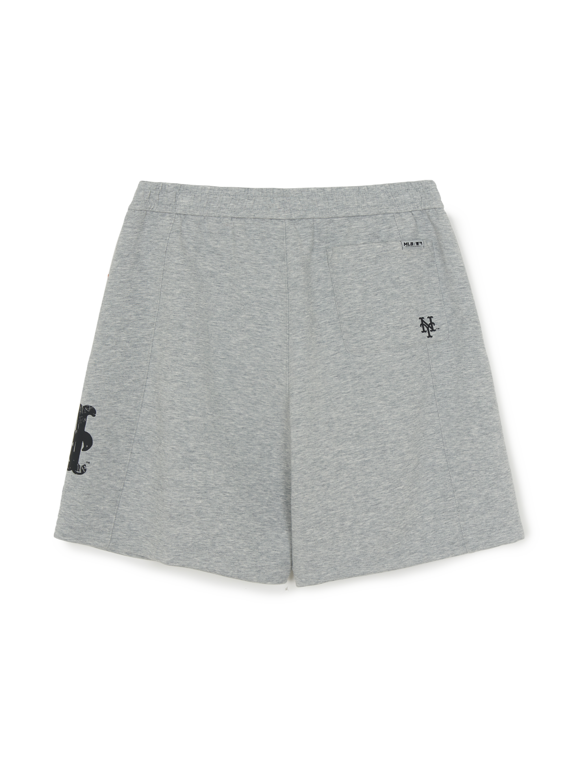 Basic Mega Logo 9In Shorts
