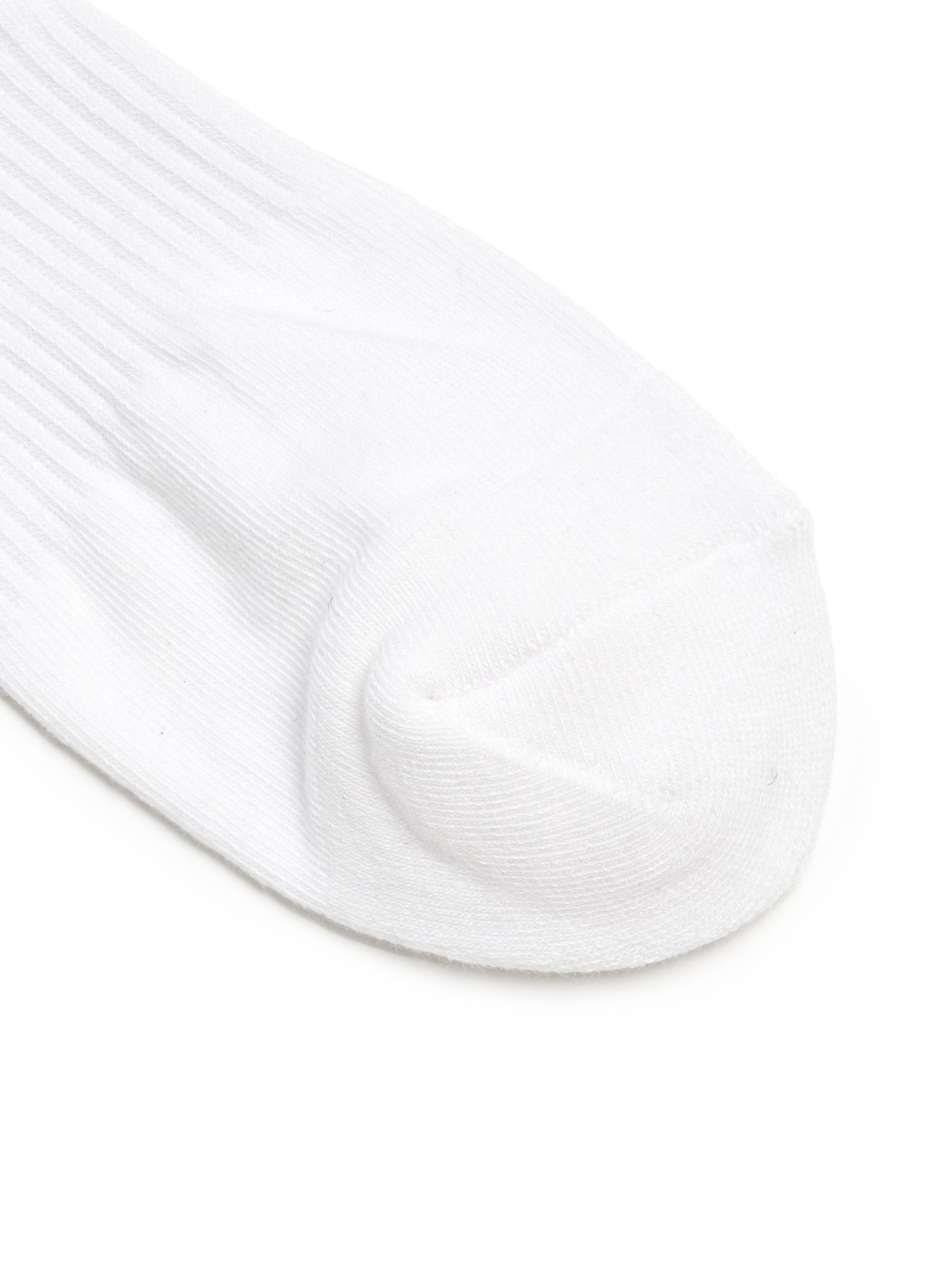 Sportive Crew Socks 2pairs Set