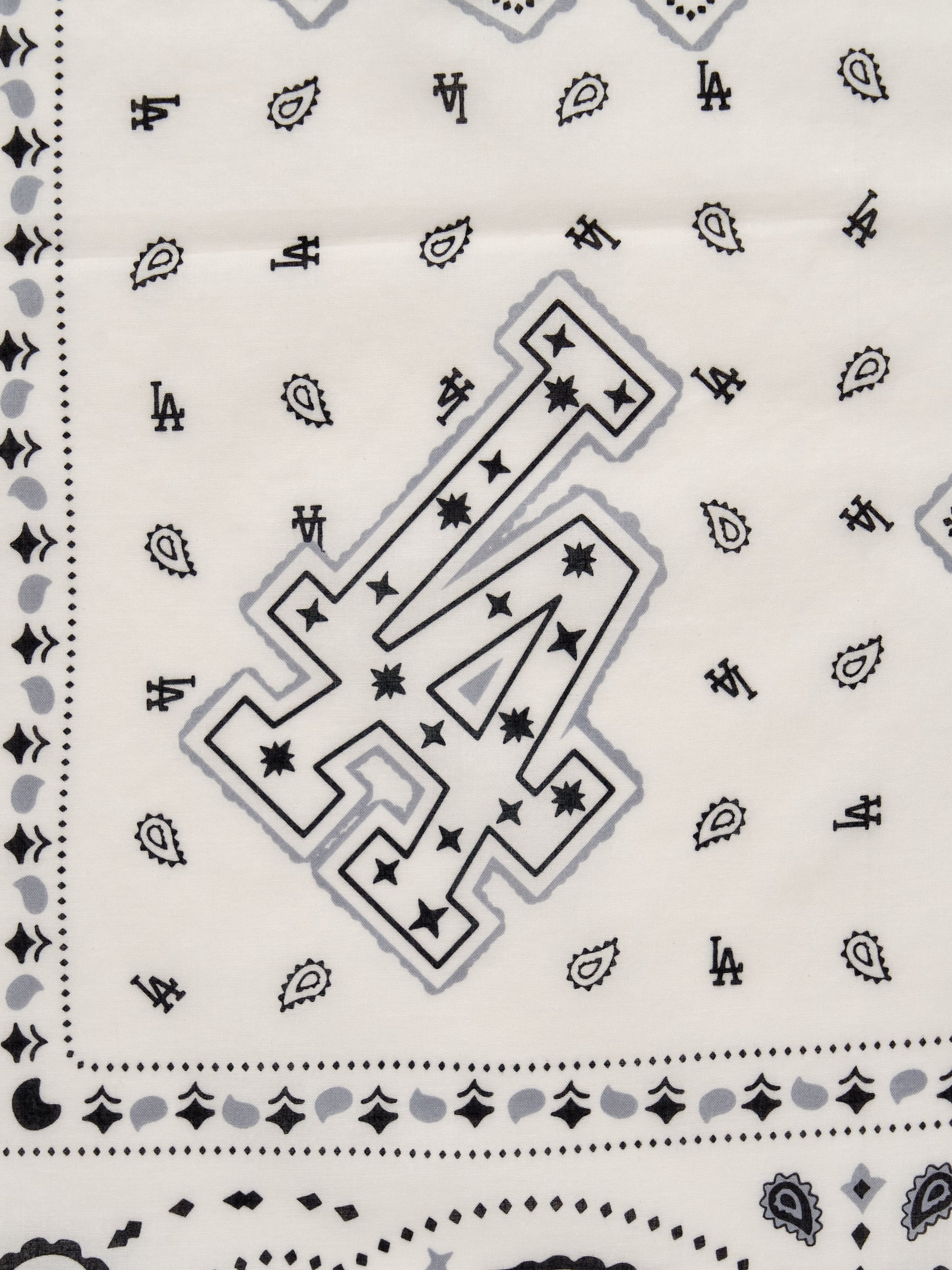 Paisley Bandana
