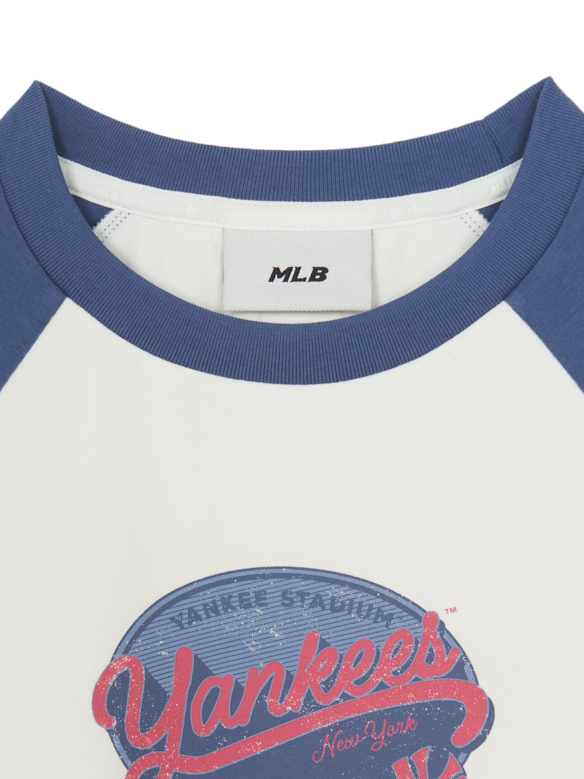 Women's Vintage Color Block Crop T-Shirt
