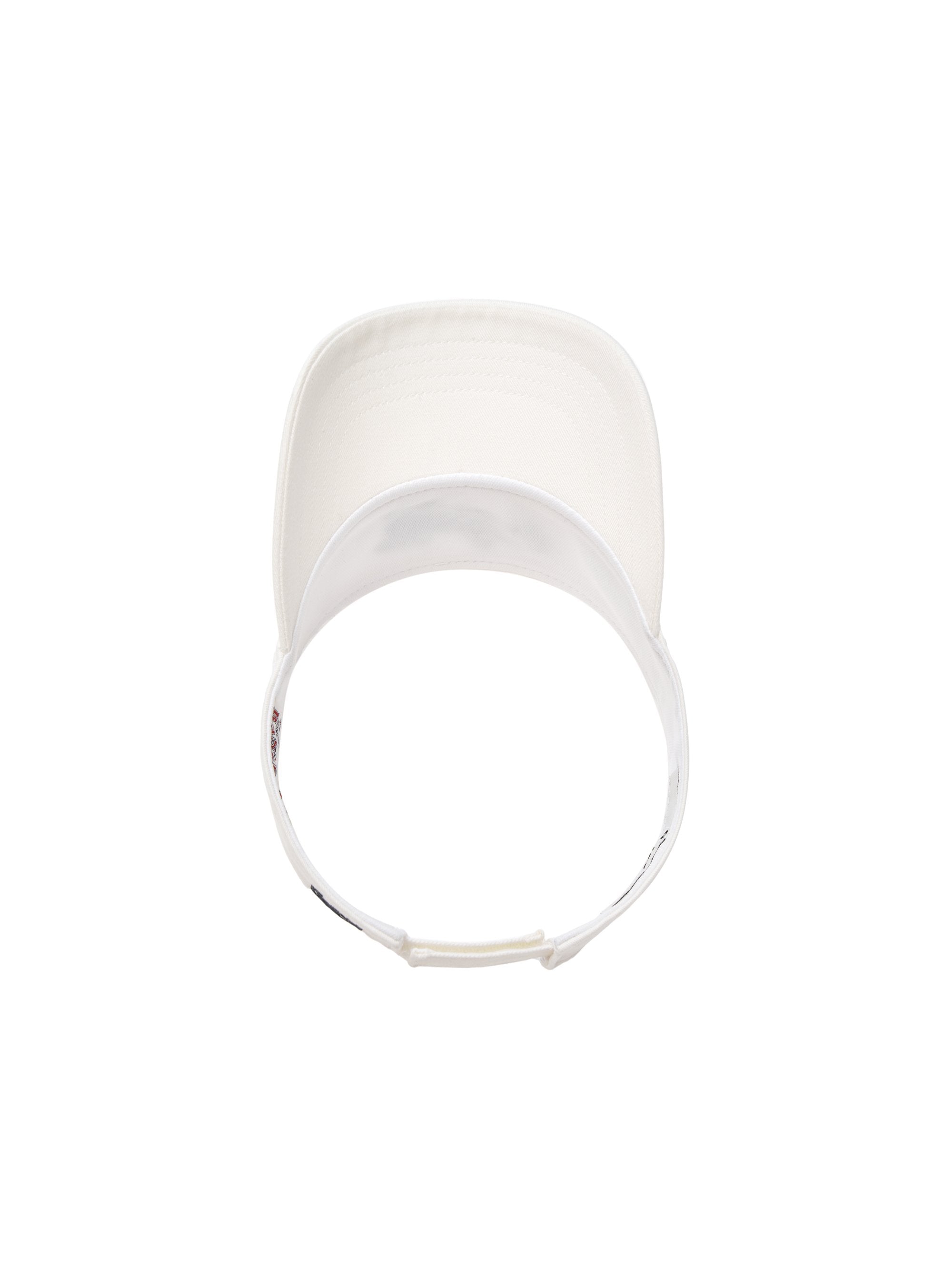 Washing Color Sunvisor