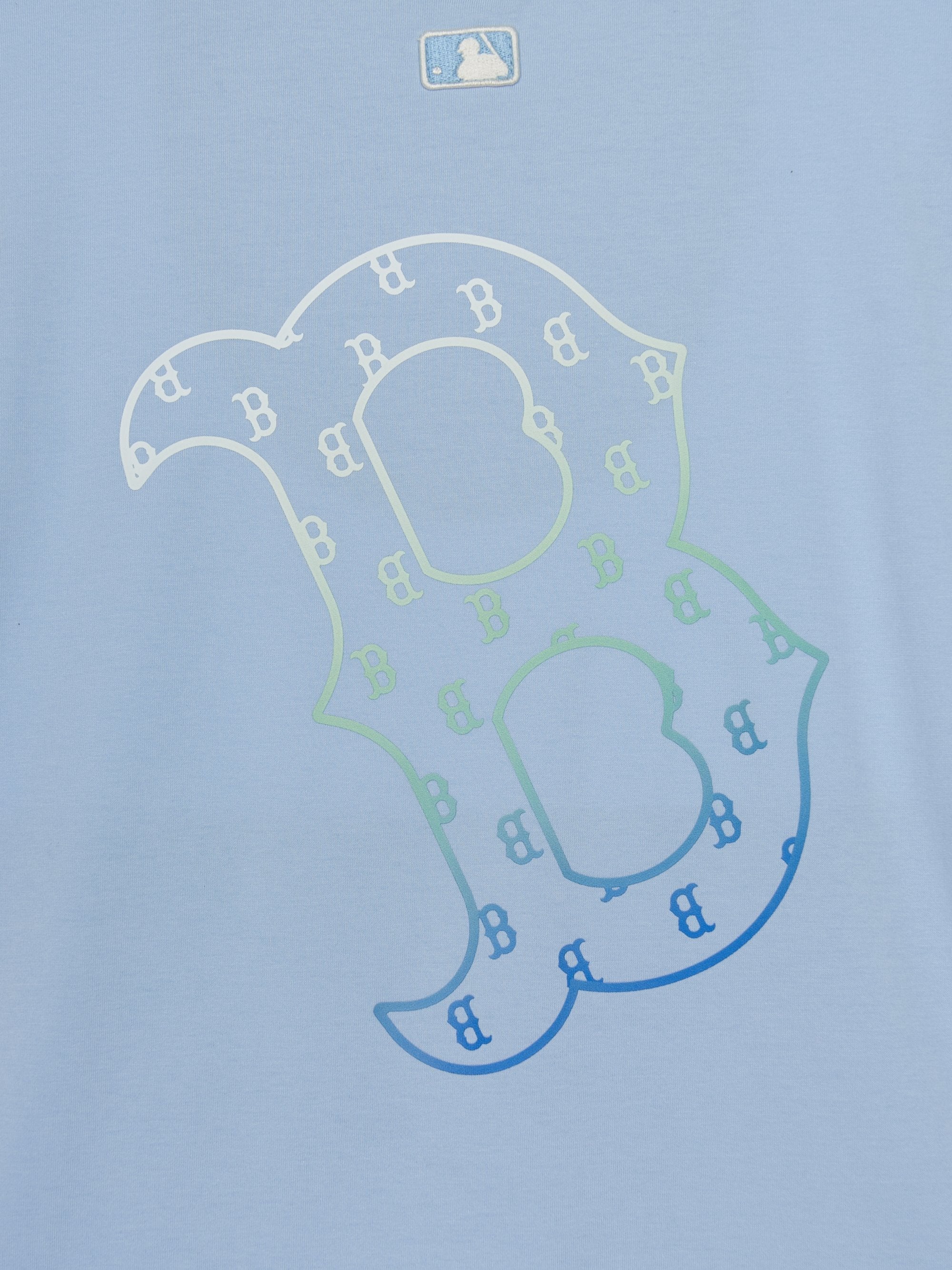 Classic Monogram Gradation Big Lux T-srhit