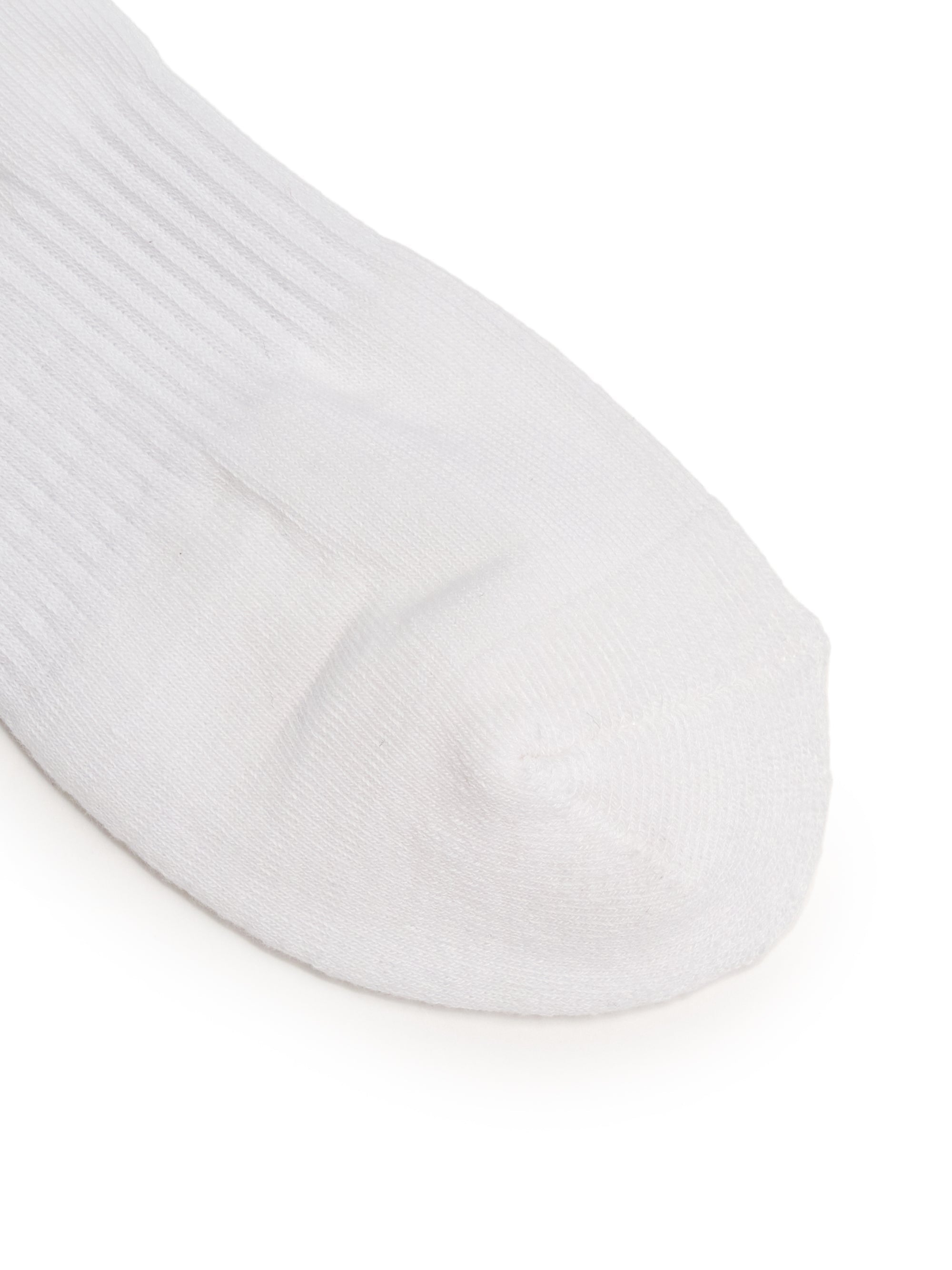 Sportive Air Crew Socks