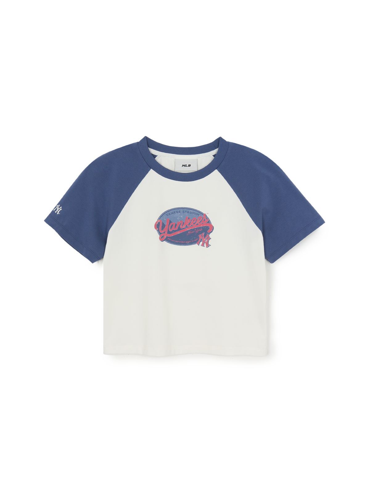 Women's Vintage Color Block Crop T-Shirt