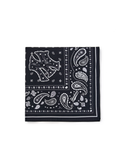 Paisley Bandana