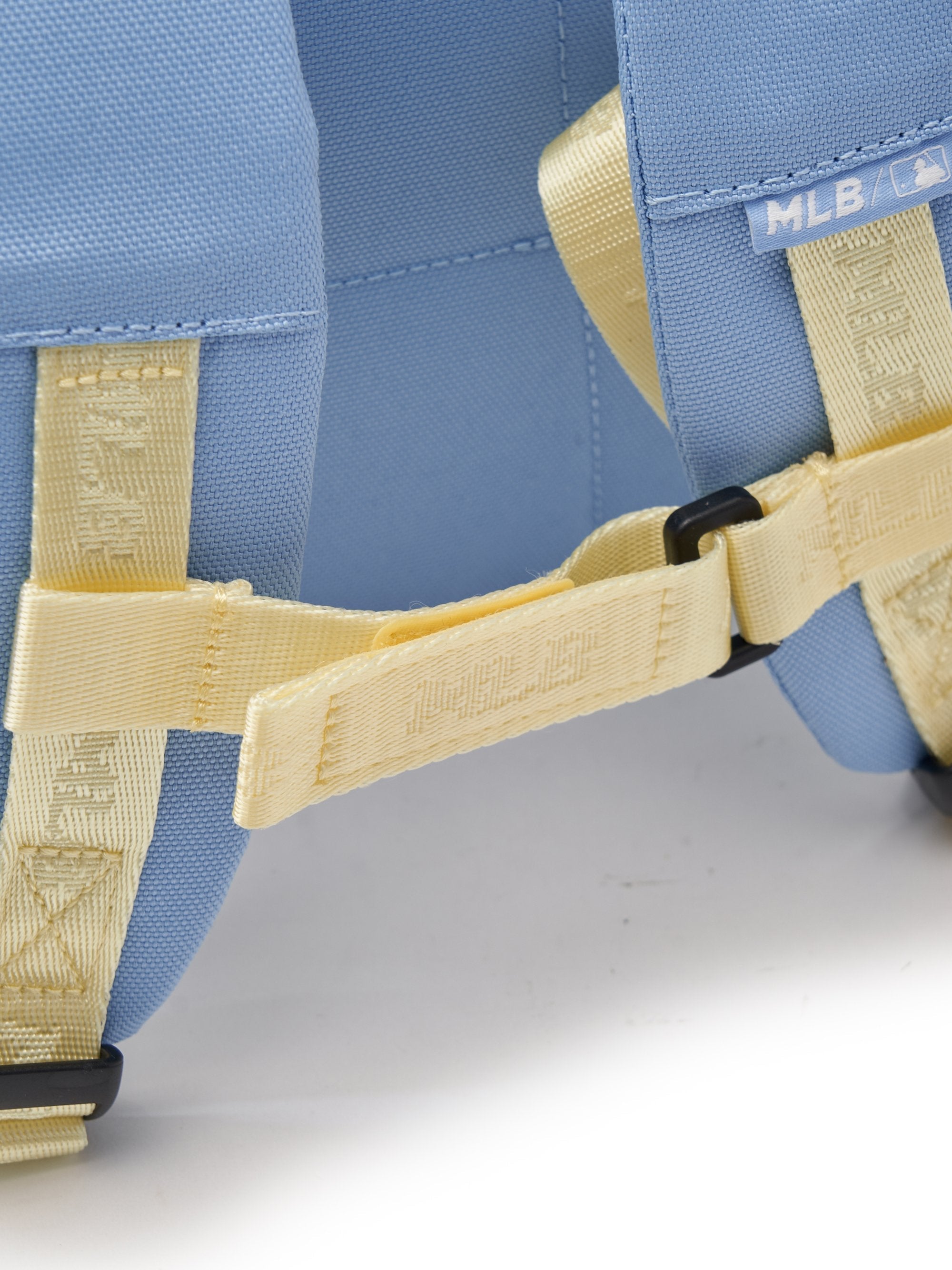 Todder Baisc Picnic Backpack
