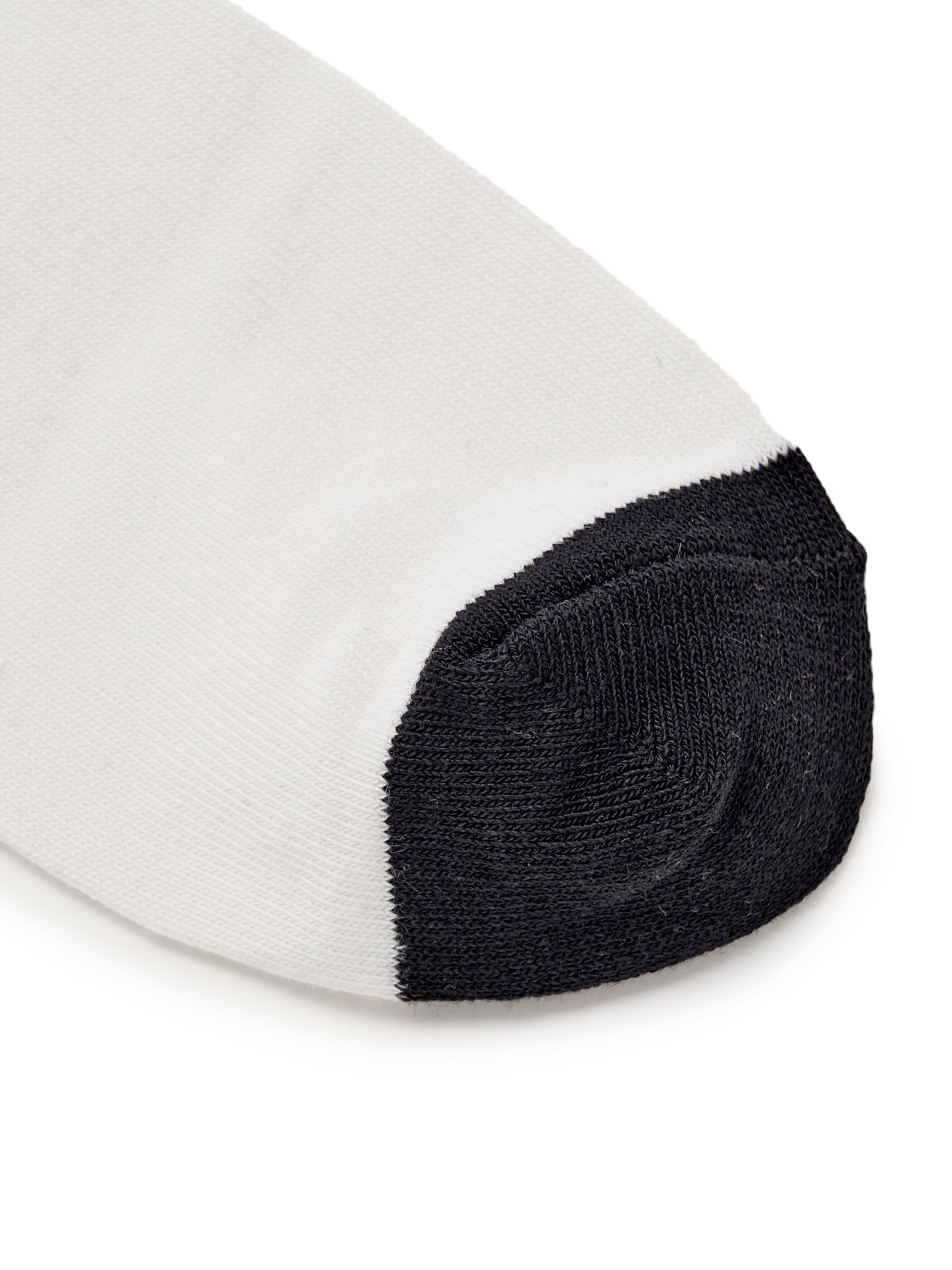 BASIC SOCKS 5PCS SET