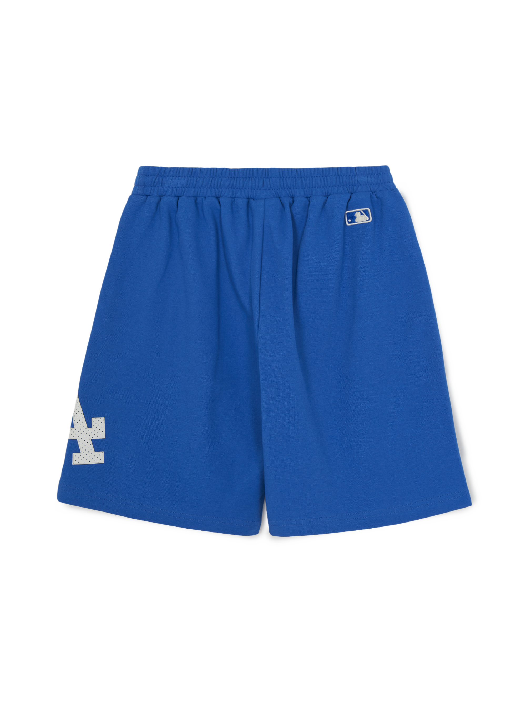 VARSITY BIG LOGO Shorts