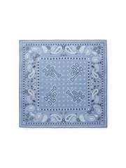 Paisley Bandana