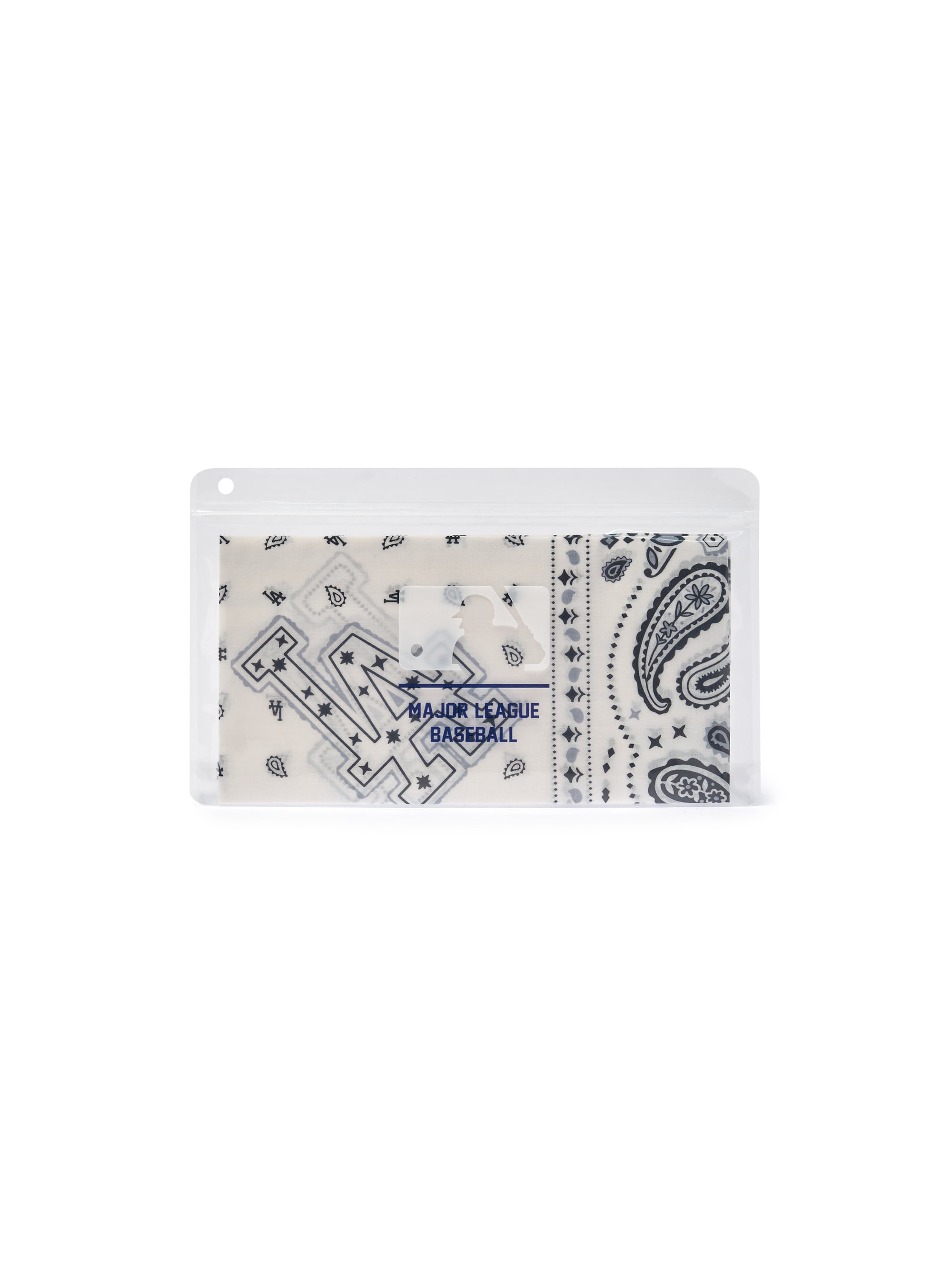 Paisley Bandana