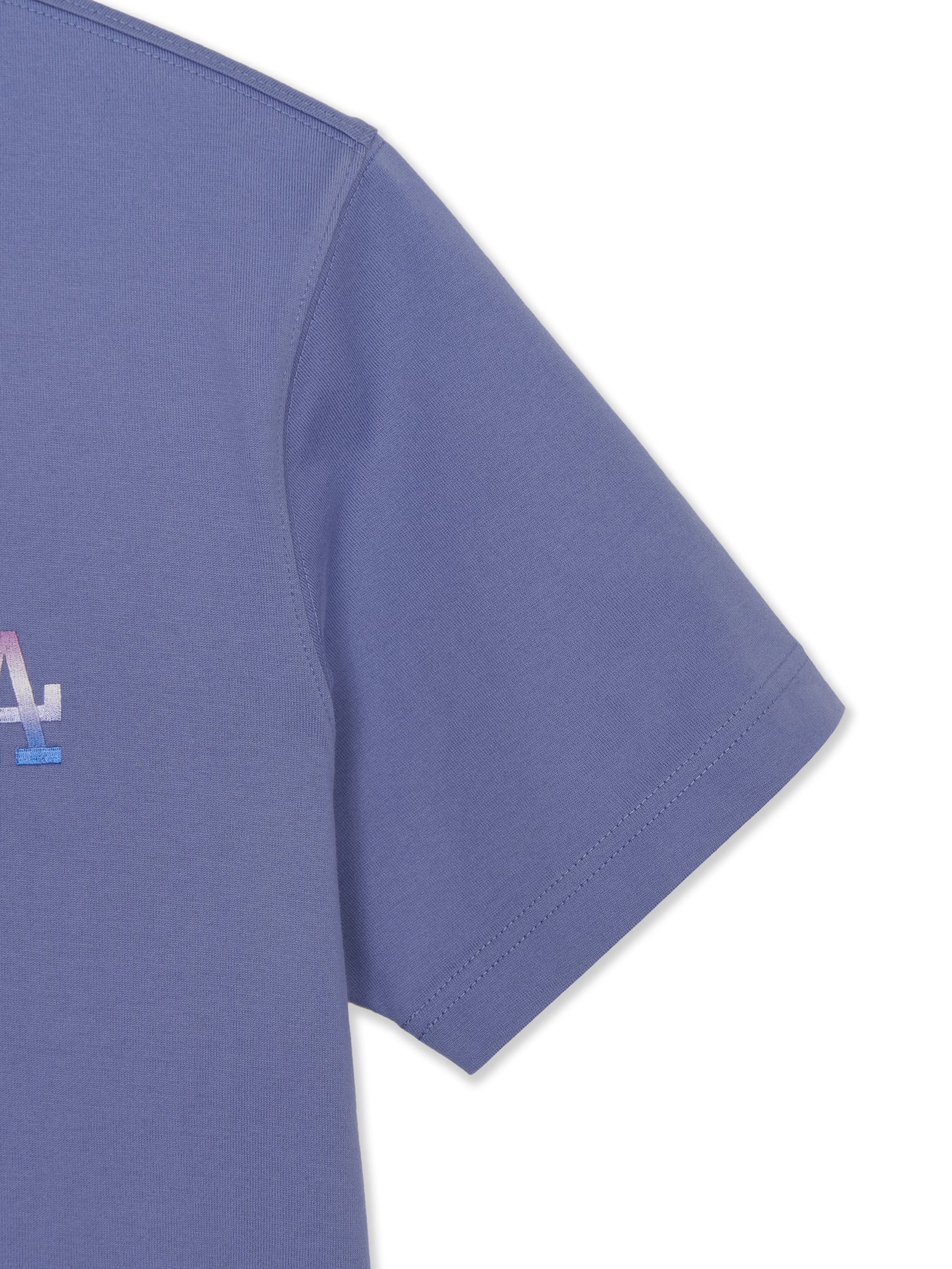 Classic Vintage Monogram Tonal Big Lux Over Fit T-shirt