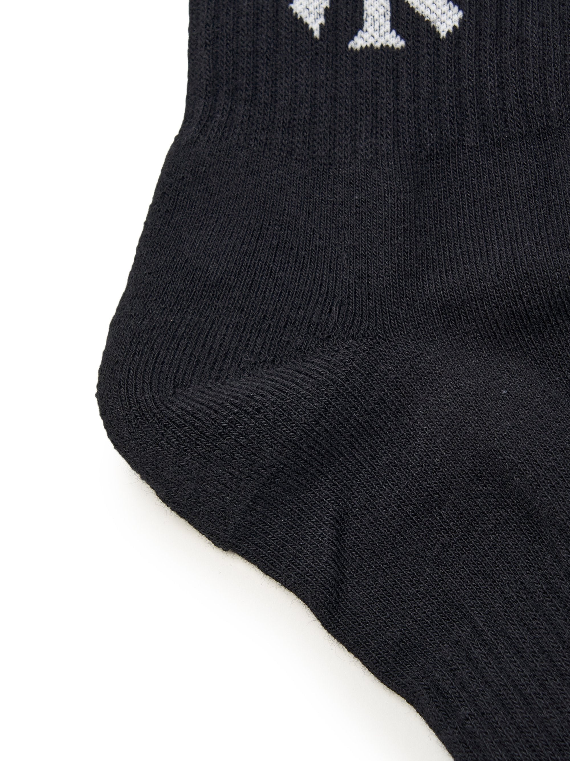 Big Logo Stripe Socks