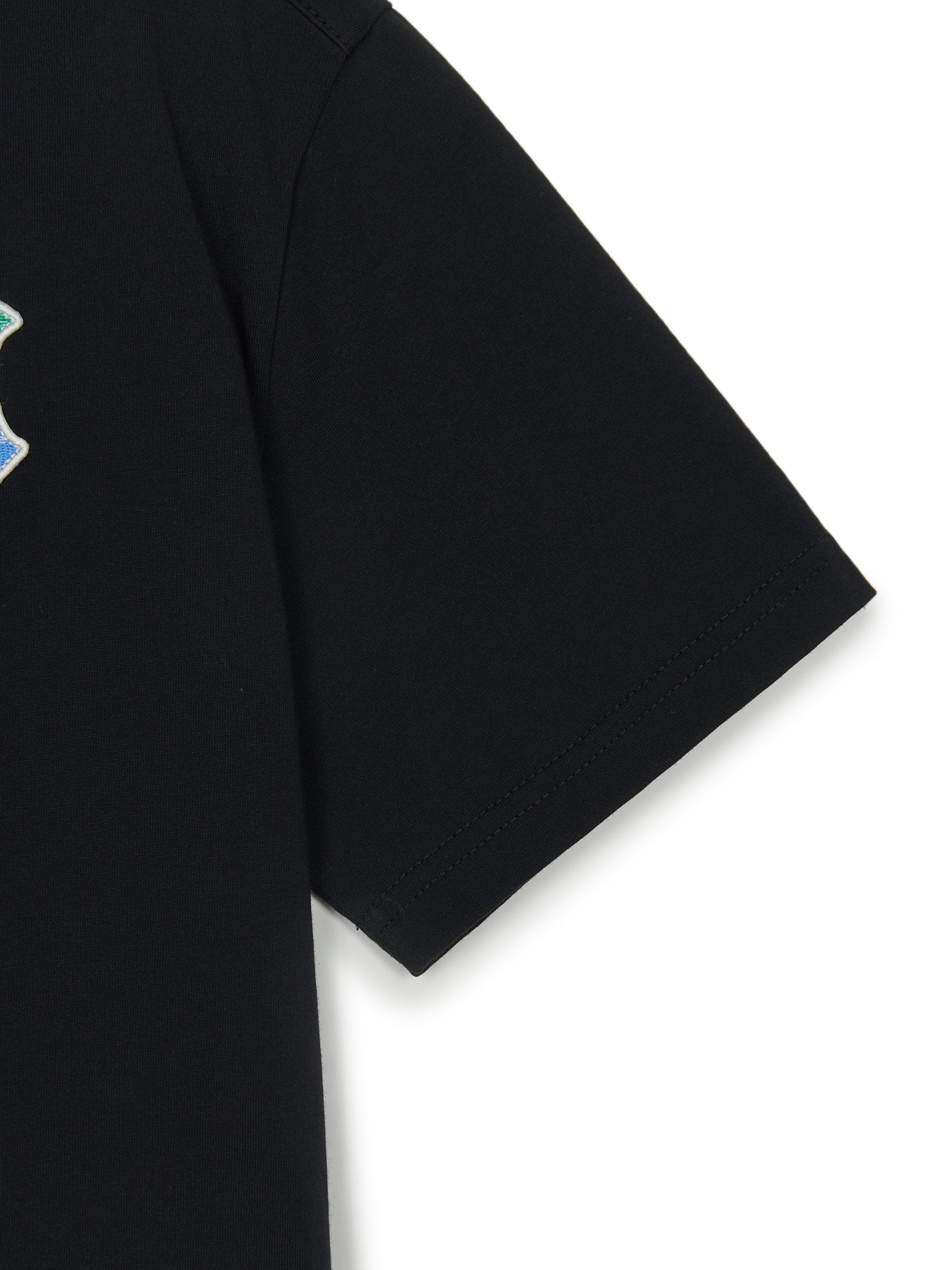 Classic Monogram Gradation Big Lux T-srhit