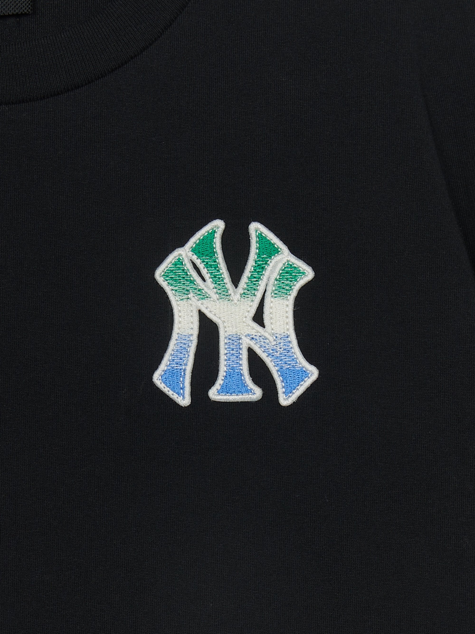 Classic Monogram Gradation Big Lux T-srhit