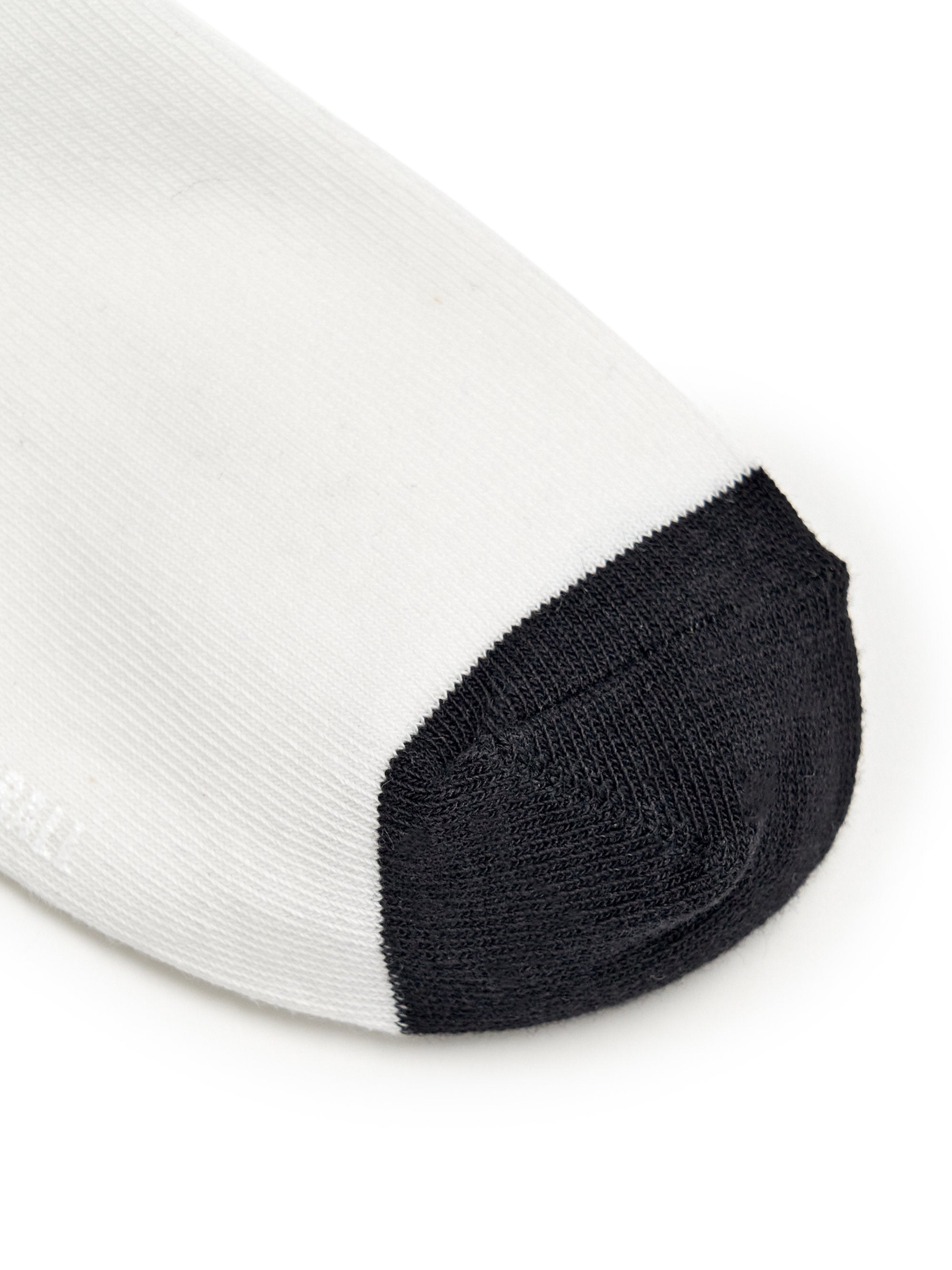 Basic Stripe Socks
