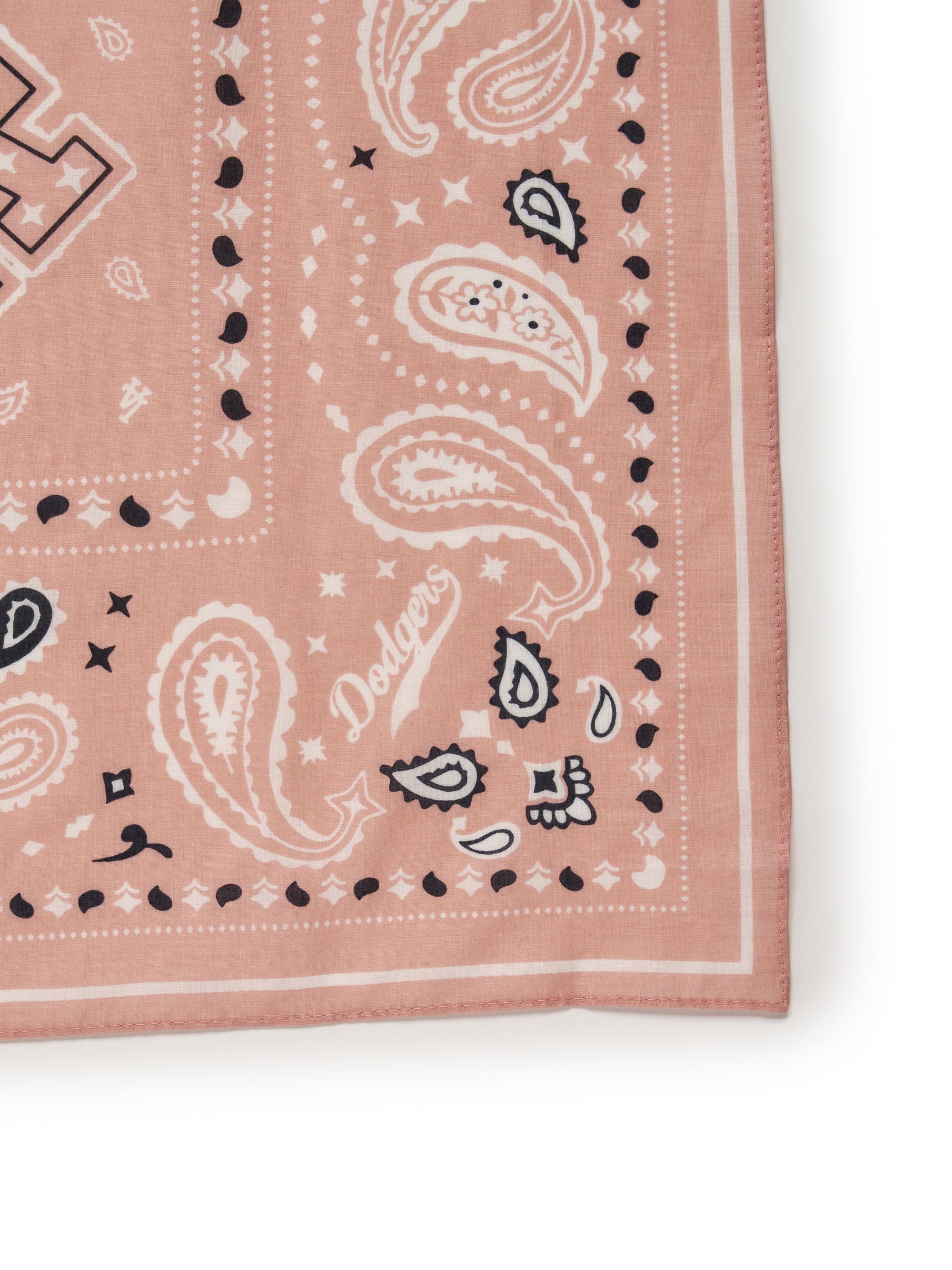 Paisley Bandana