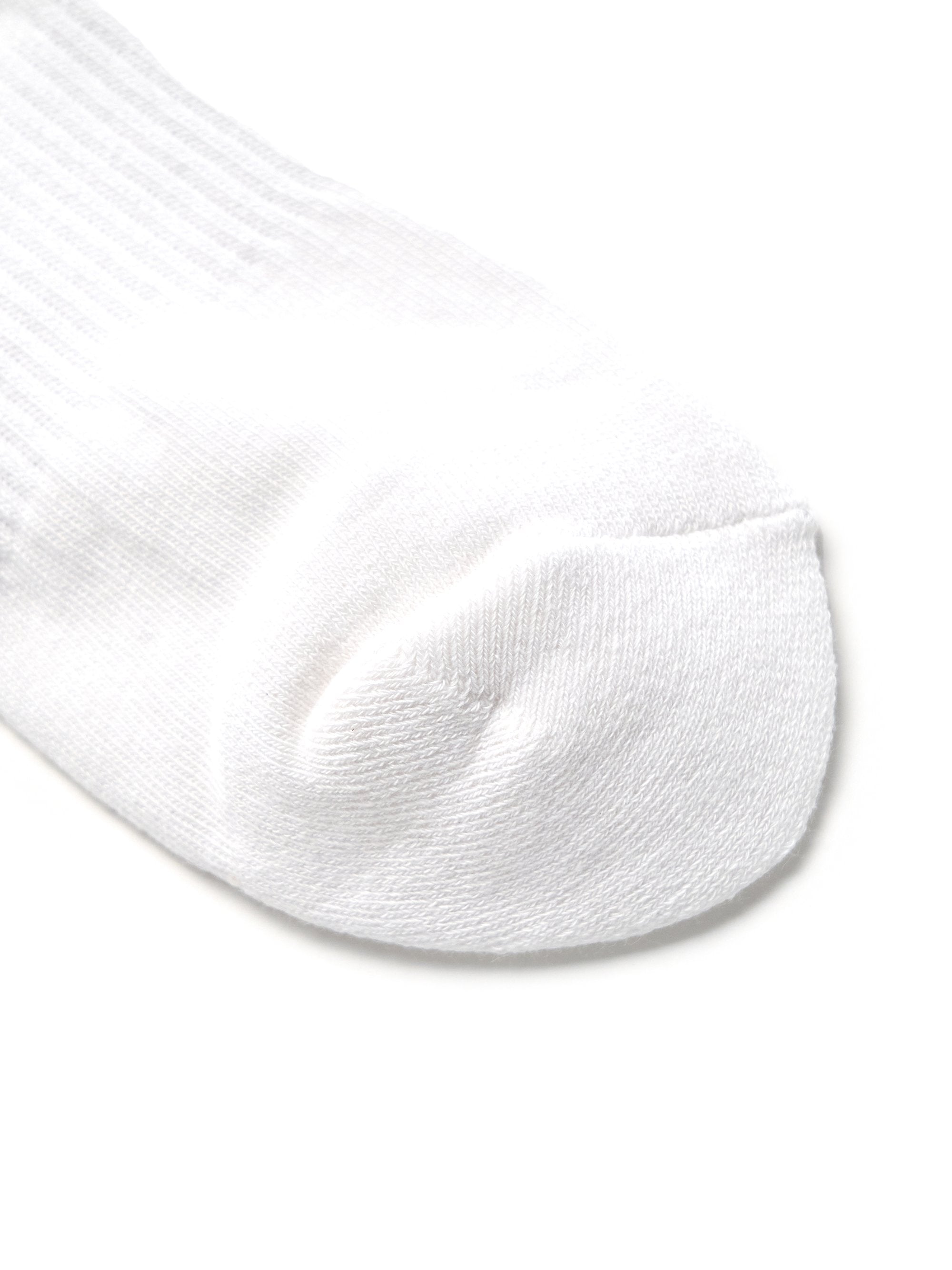 Big Logo Stripe Socks