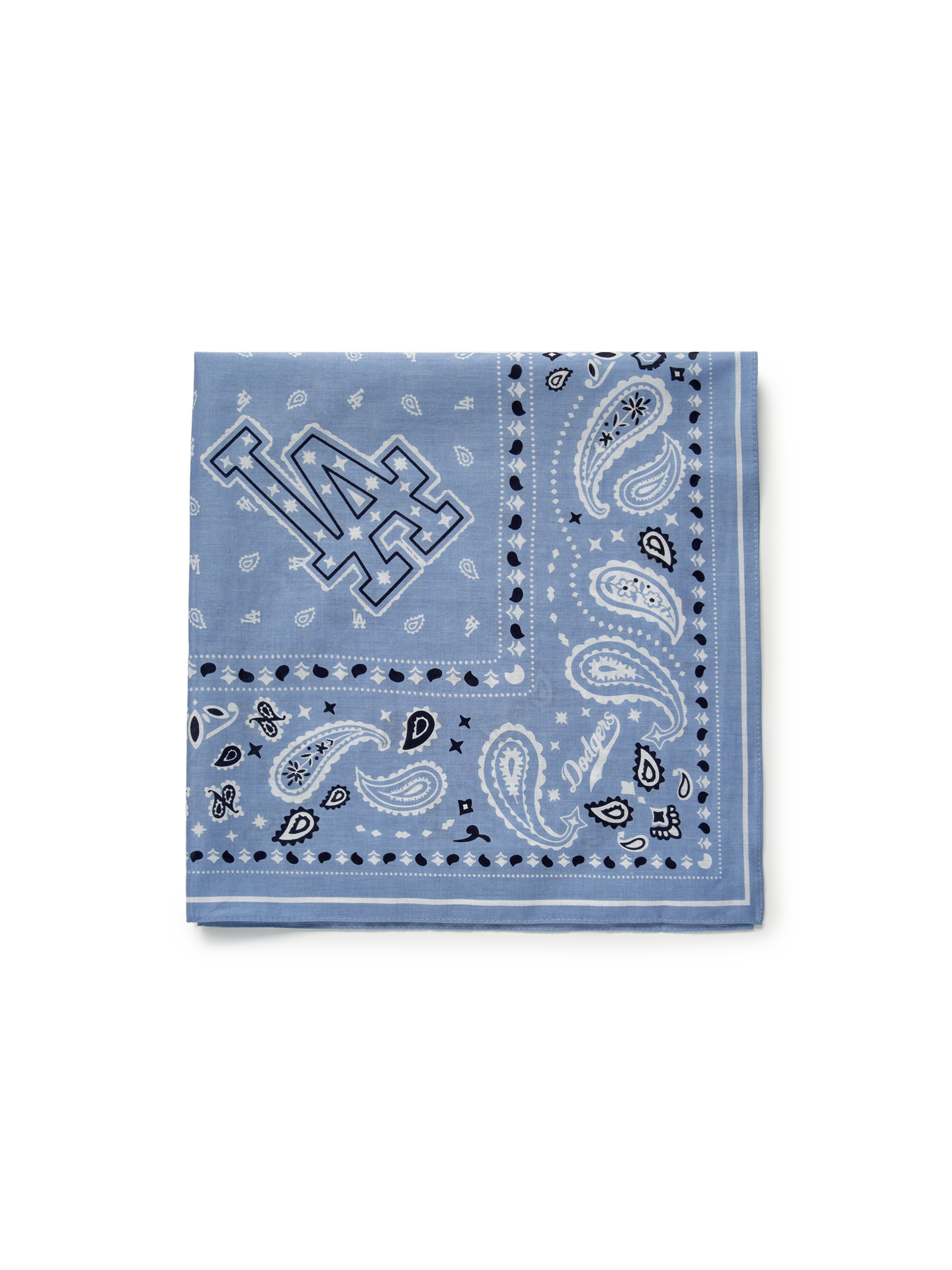 Paisley Bandana