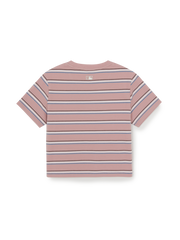 Women's Sportive Stripe Crop T-Shirts