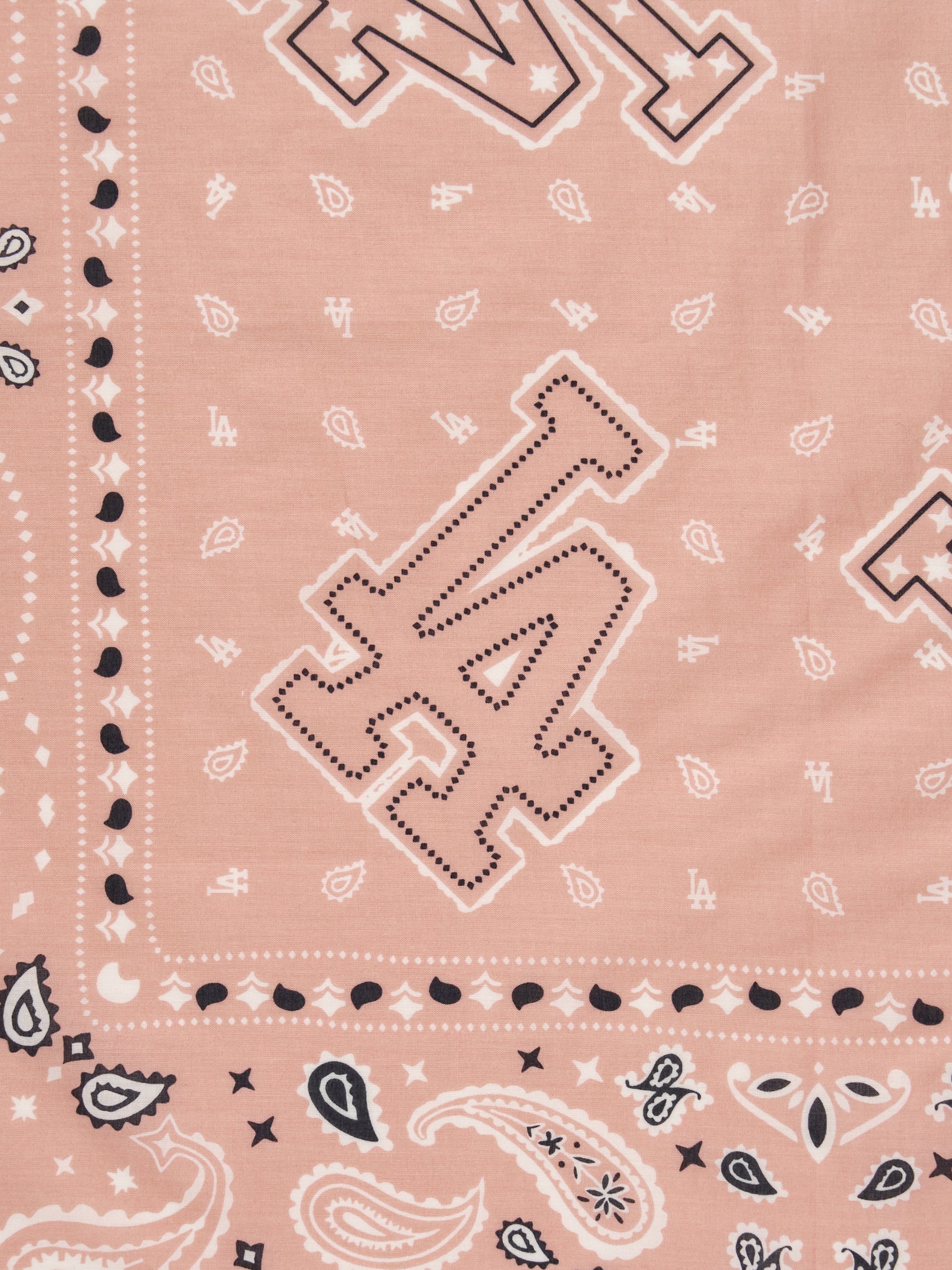 Paisley Bandana