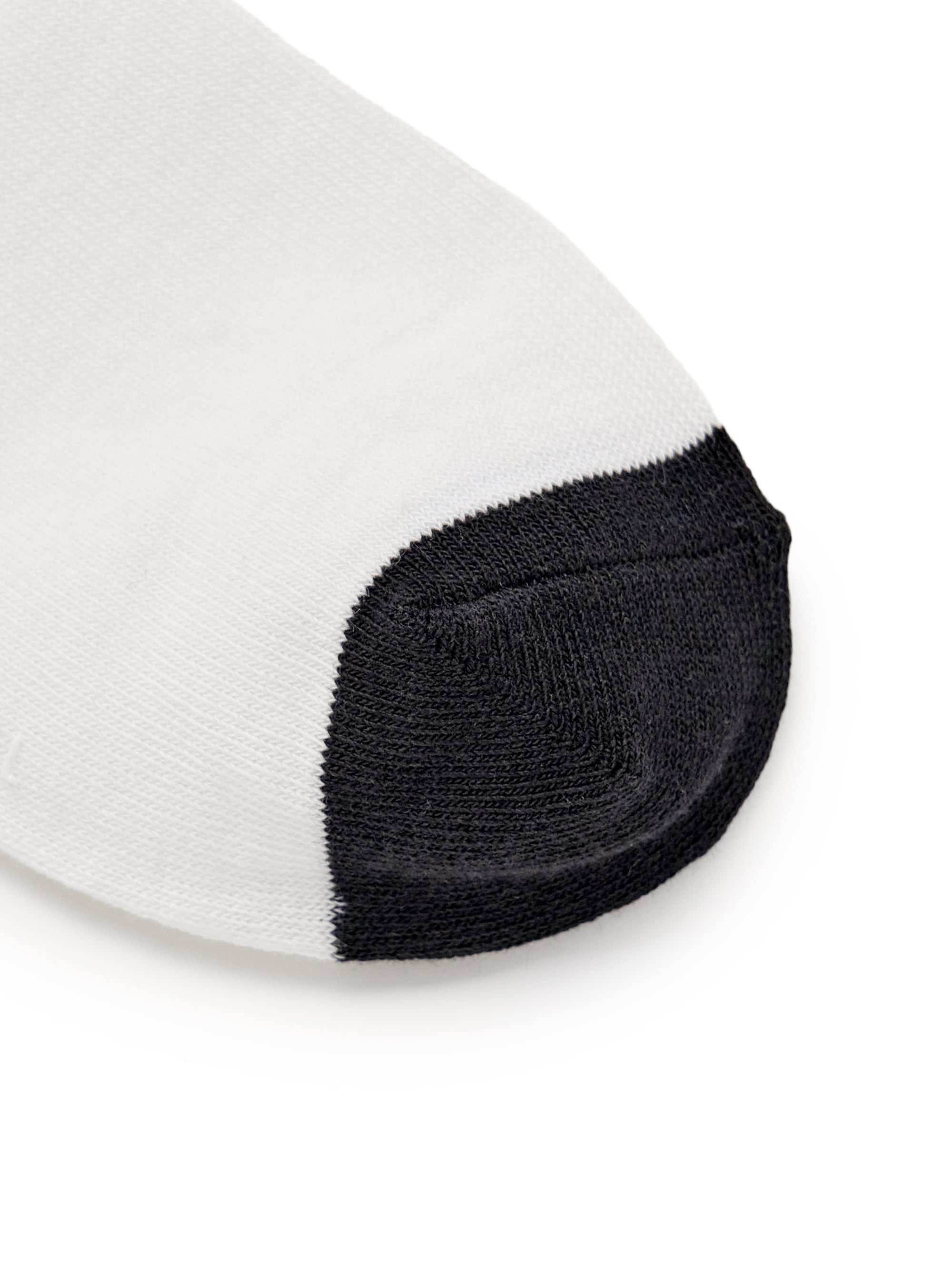 BASIC SOCKS