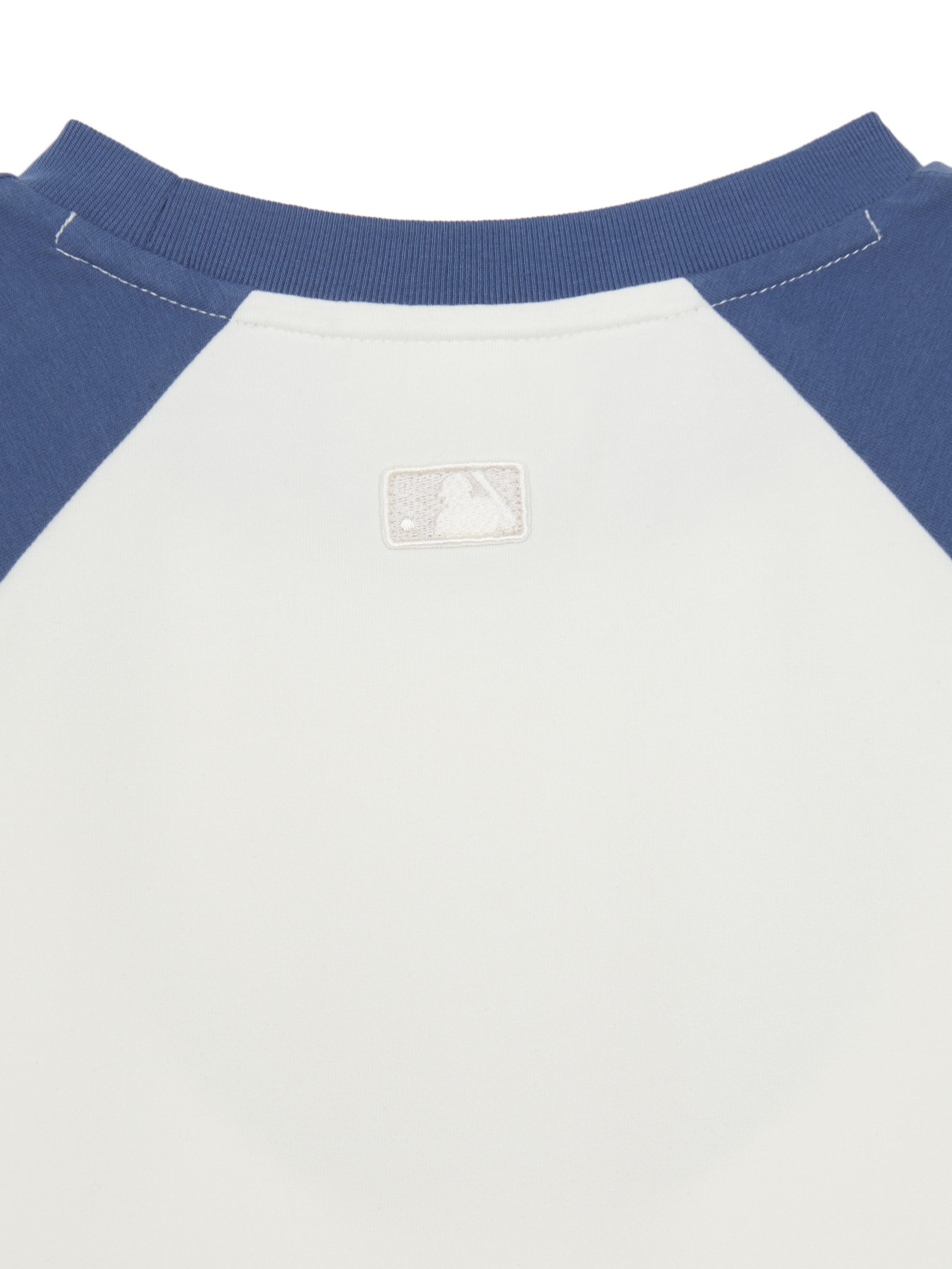 Women's Vintage Color Block Crop T-Shirt