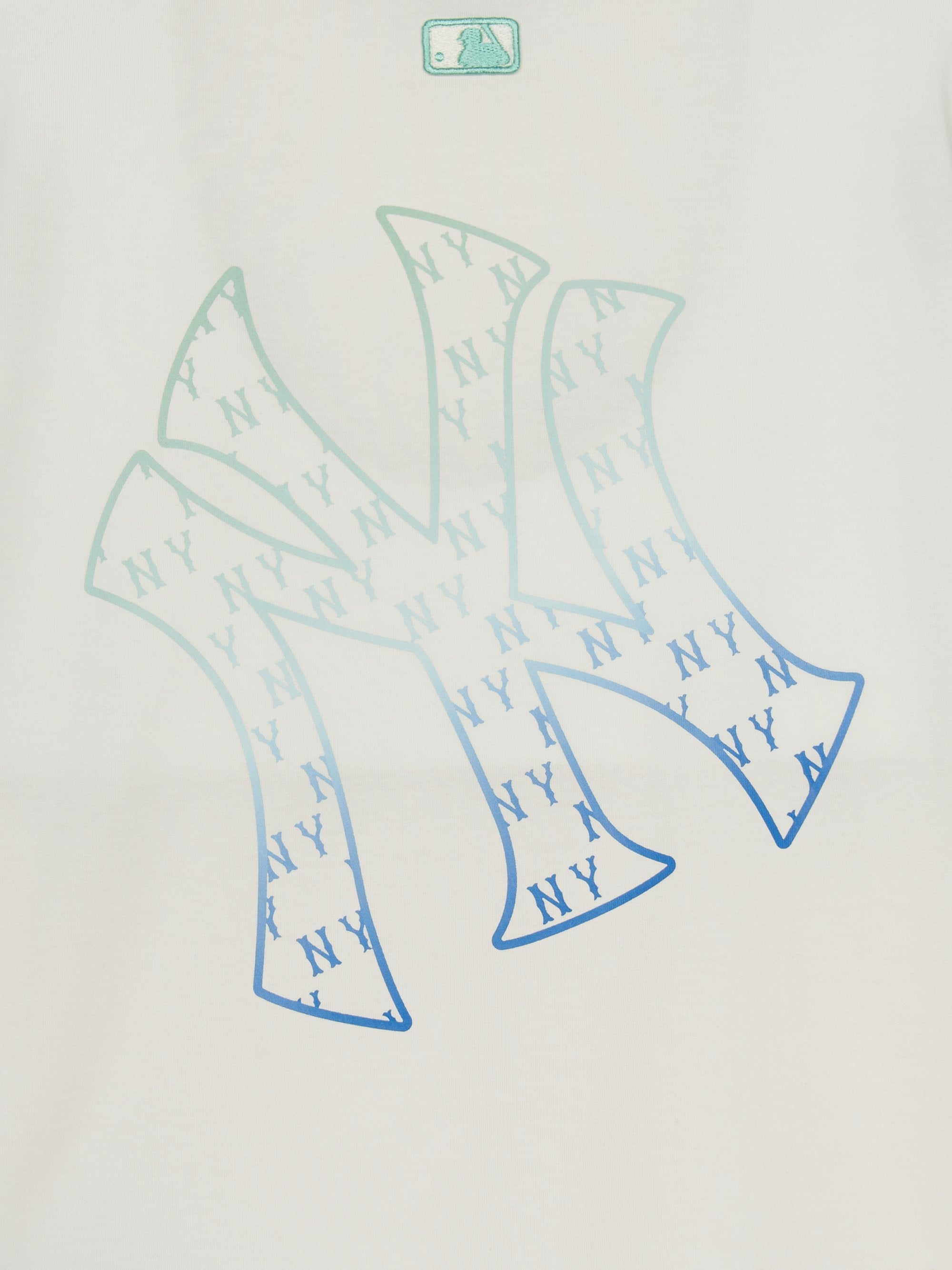 Classic Monogram Gradation Big Lux T-srhit
