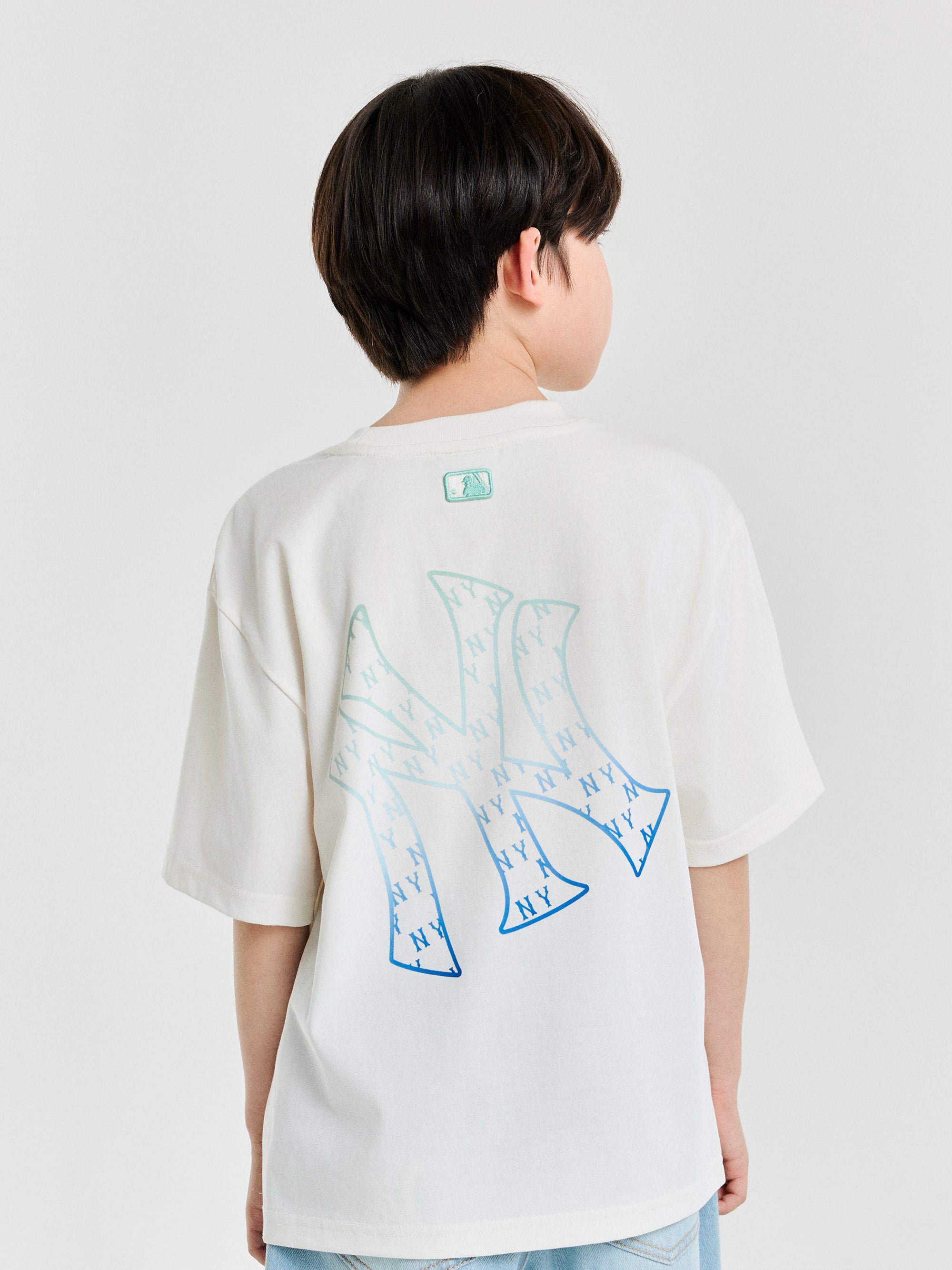 Classic Monogram Gradation Big Lux T-srhit