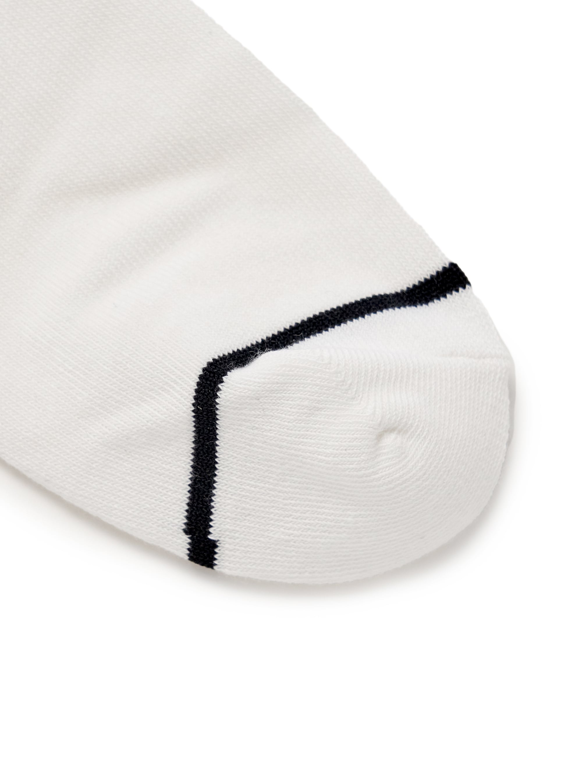 BASIC SOCKS 5PCS SET