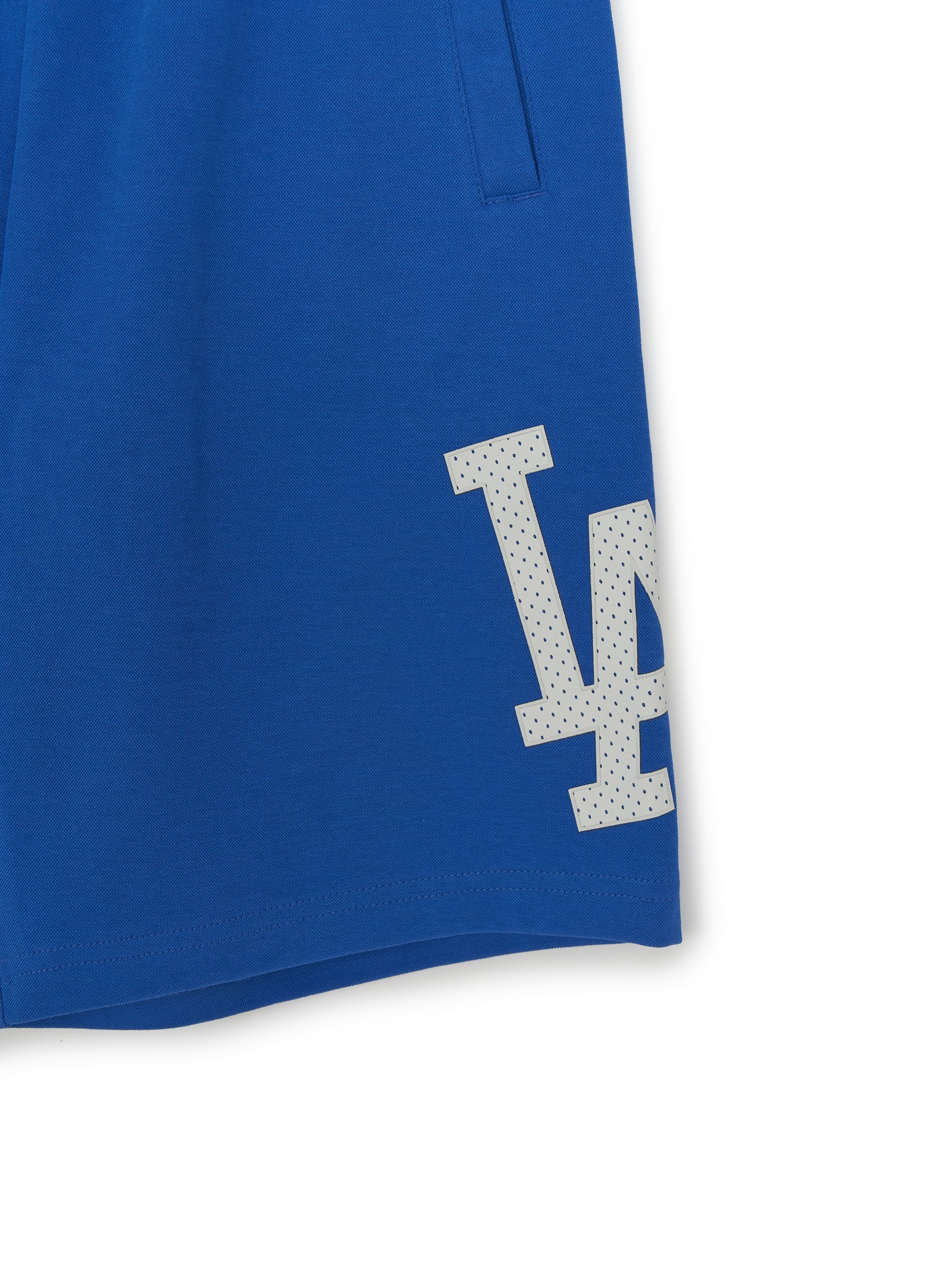 VARSITY BIG LOGO Shorts