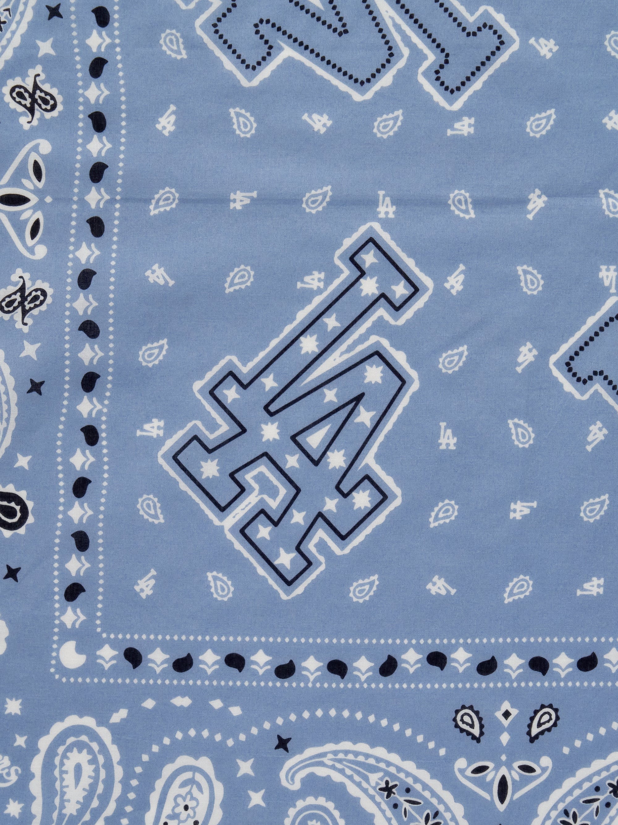 Paisley Bandana
