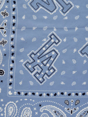 Paisley Bandana
