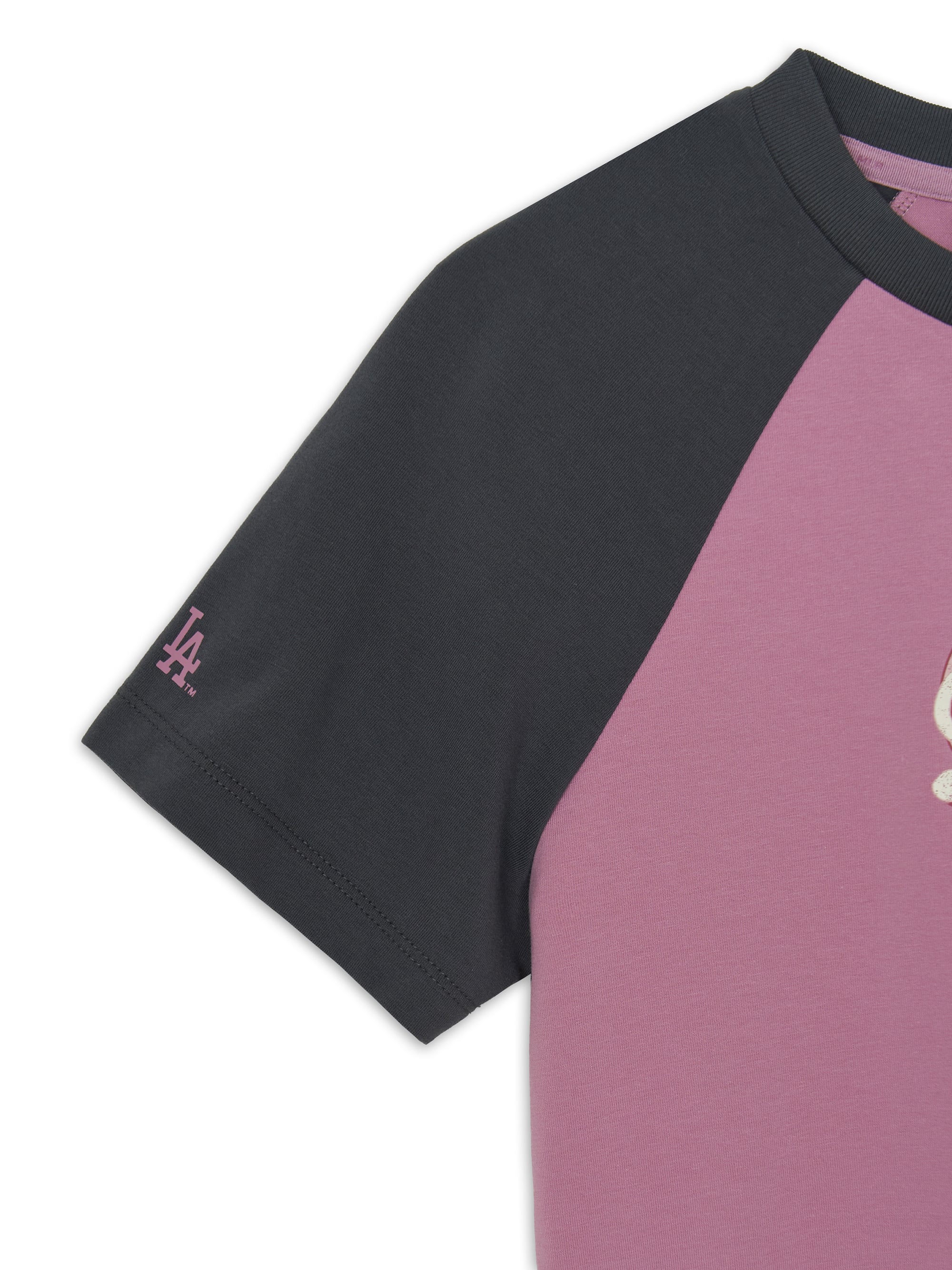 Women's Vintage Color Block Crop T-Shirts