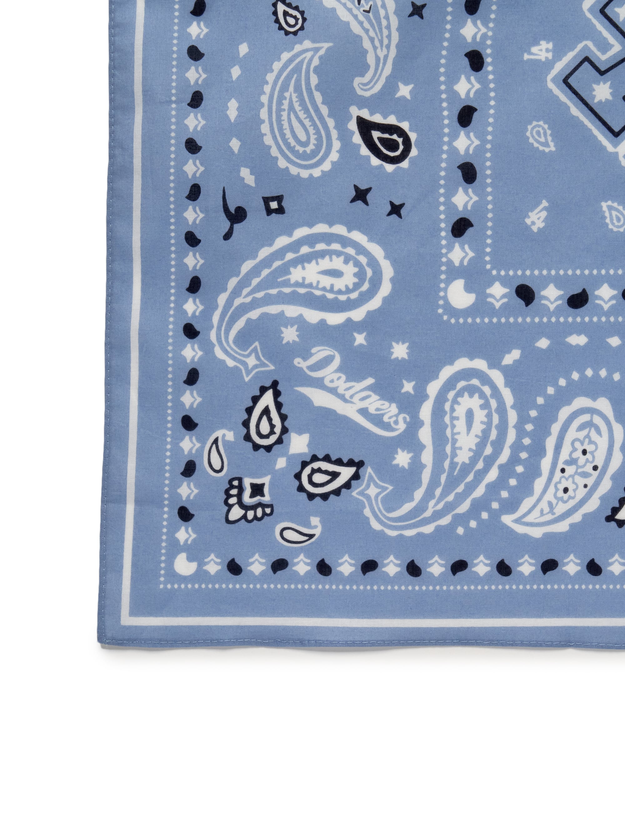 Paisley Bandana