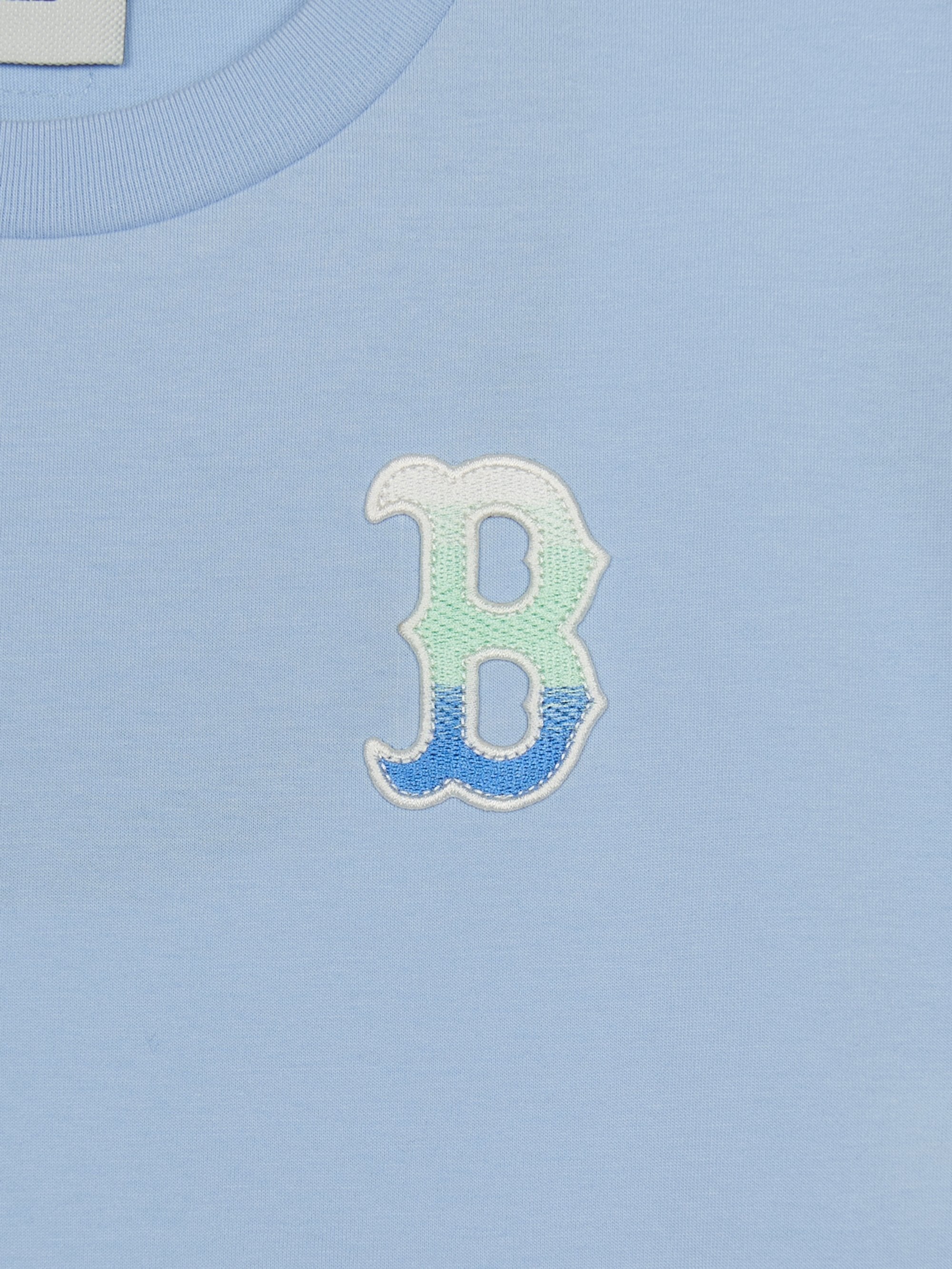 Classic Monogram Gradation Big Lux T-srhit