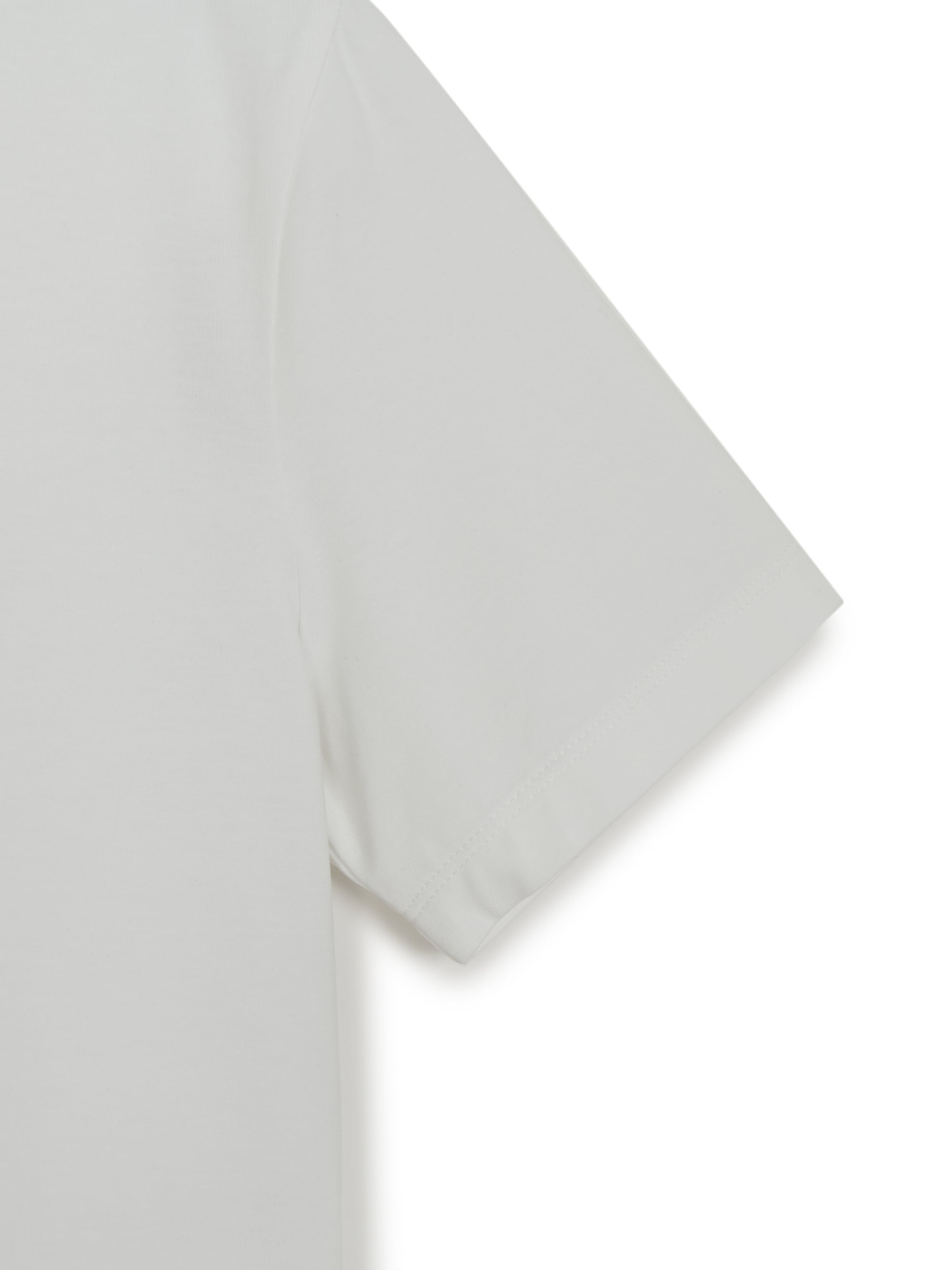 Women's Basic Slim Fit Crop Open Collar Polo T-Shirts