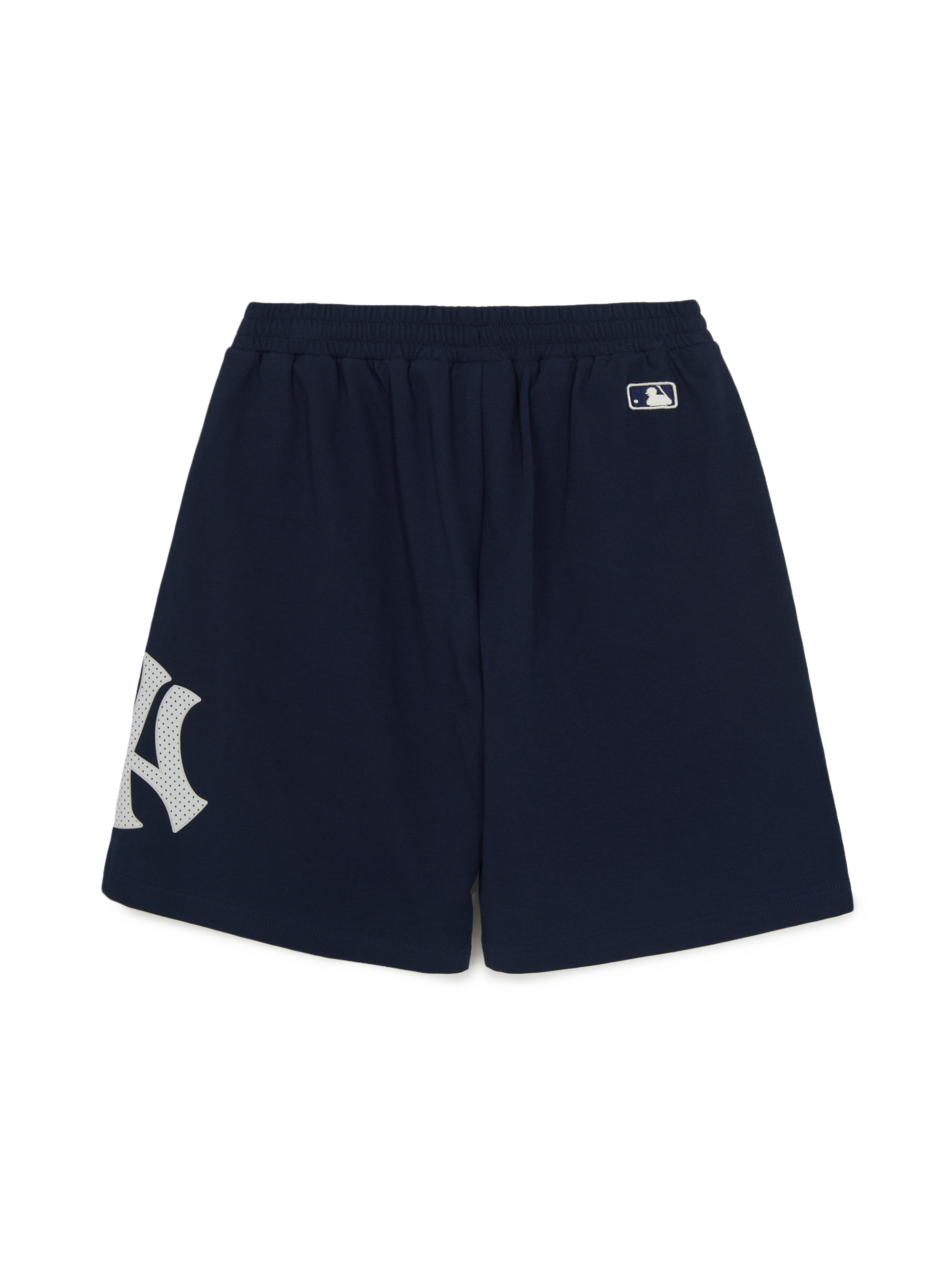 VARSITY BIG LOGO Shorts