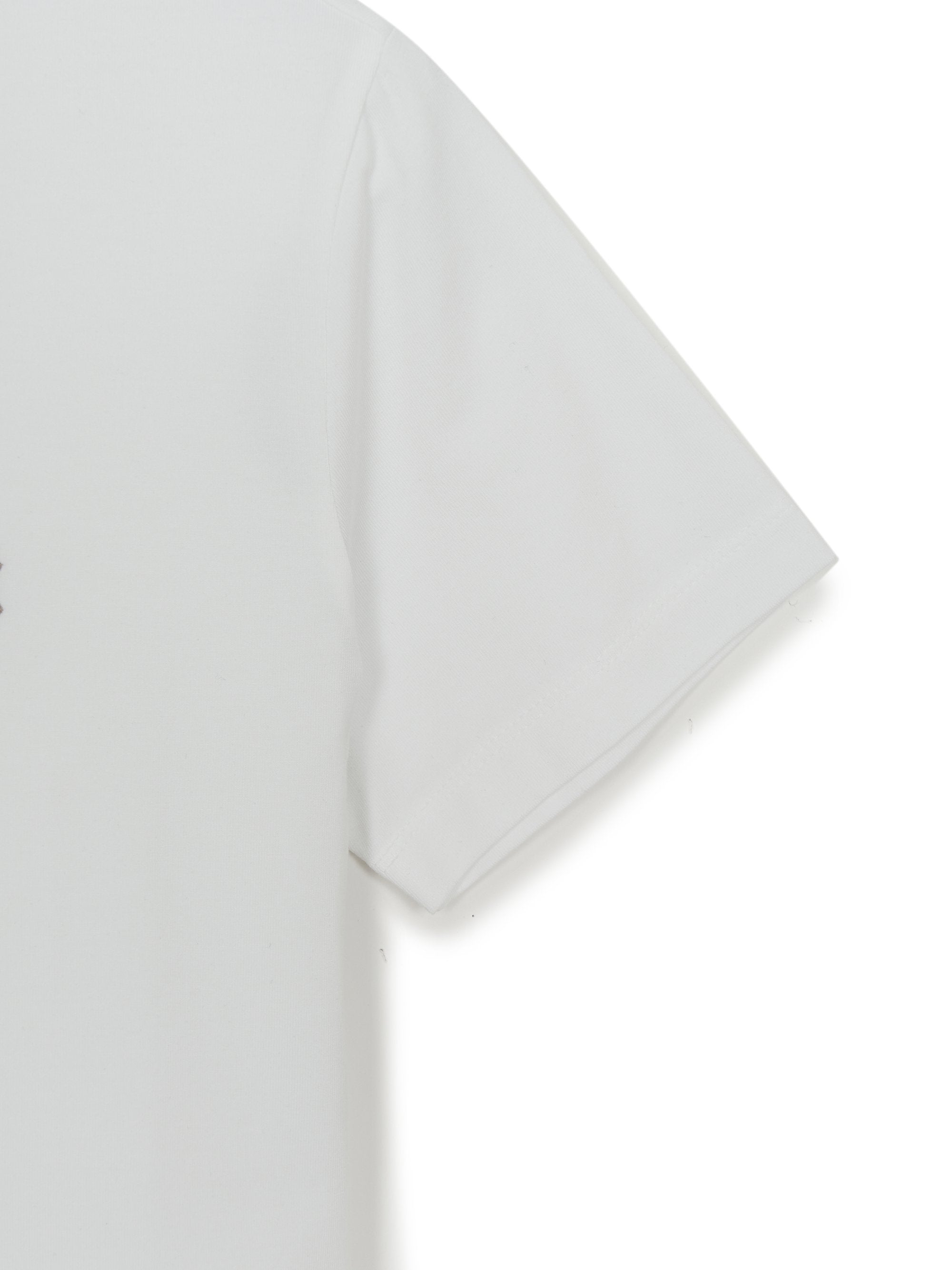 Women's Basic Slim Fit T-Shirts