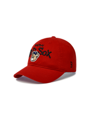 MEGABEAR VINTAGE WASHED BALL CAP