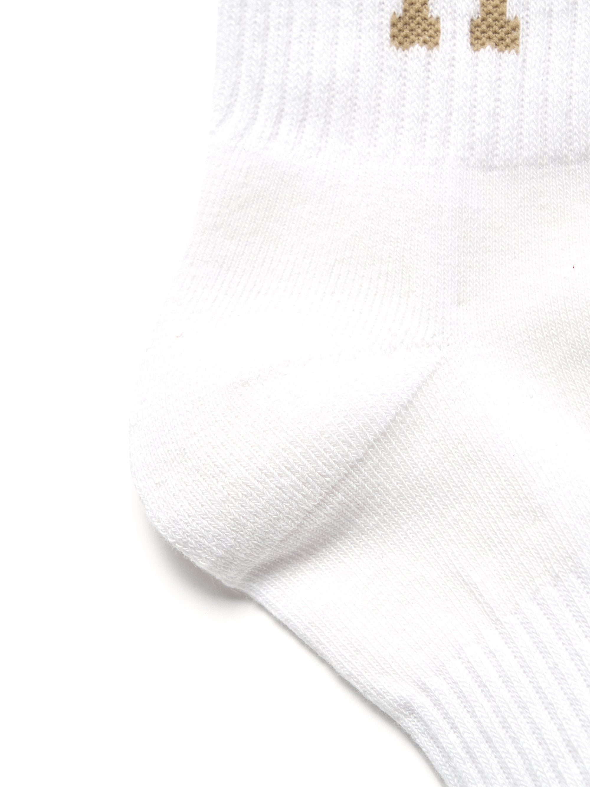 Big Logo Stripe Socks
