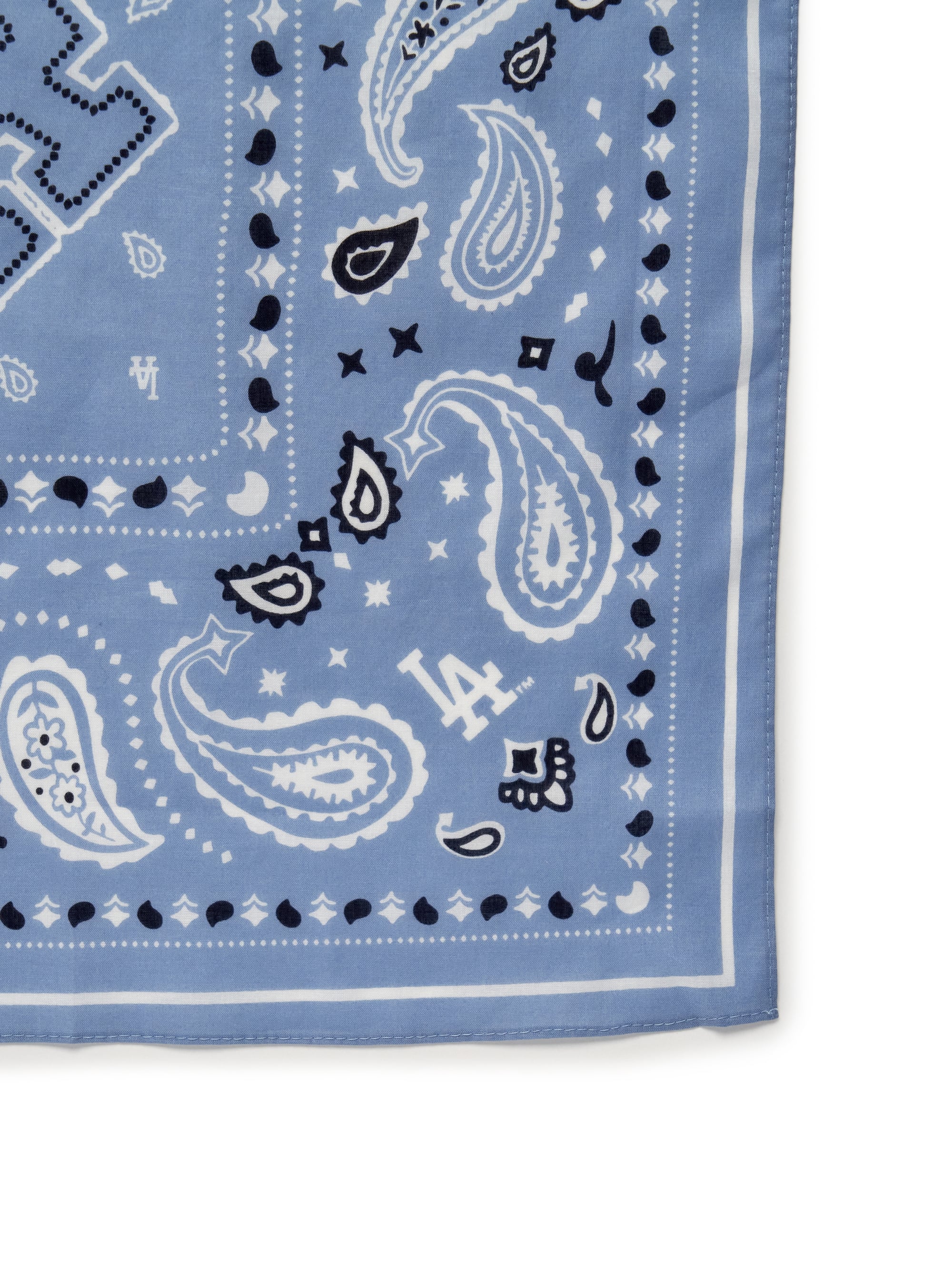 Paisley Bandana