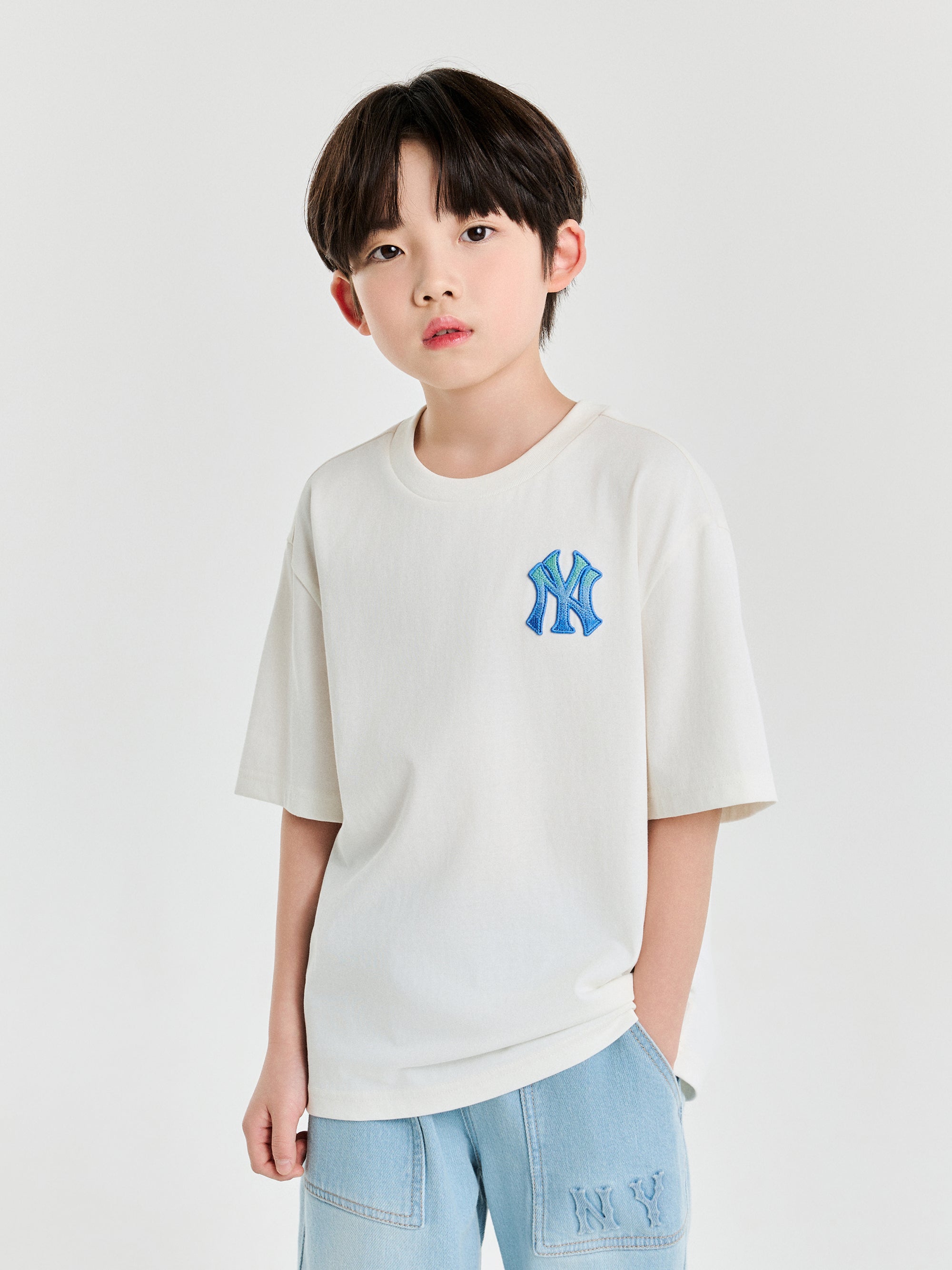 Classic Monogram Gradation Big Lux T-srhit