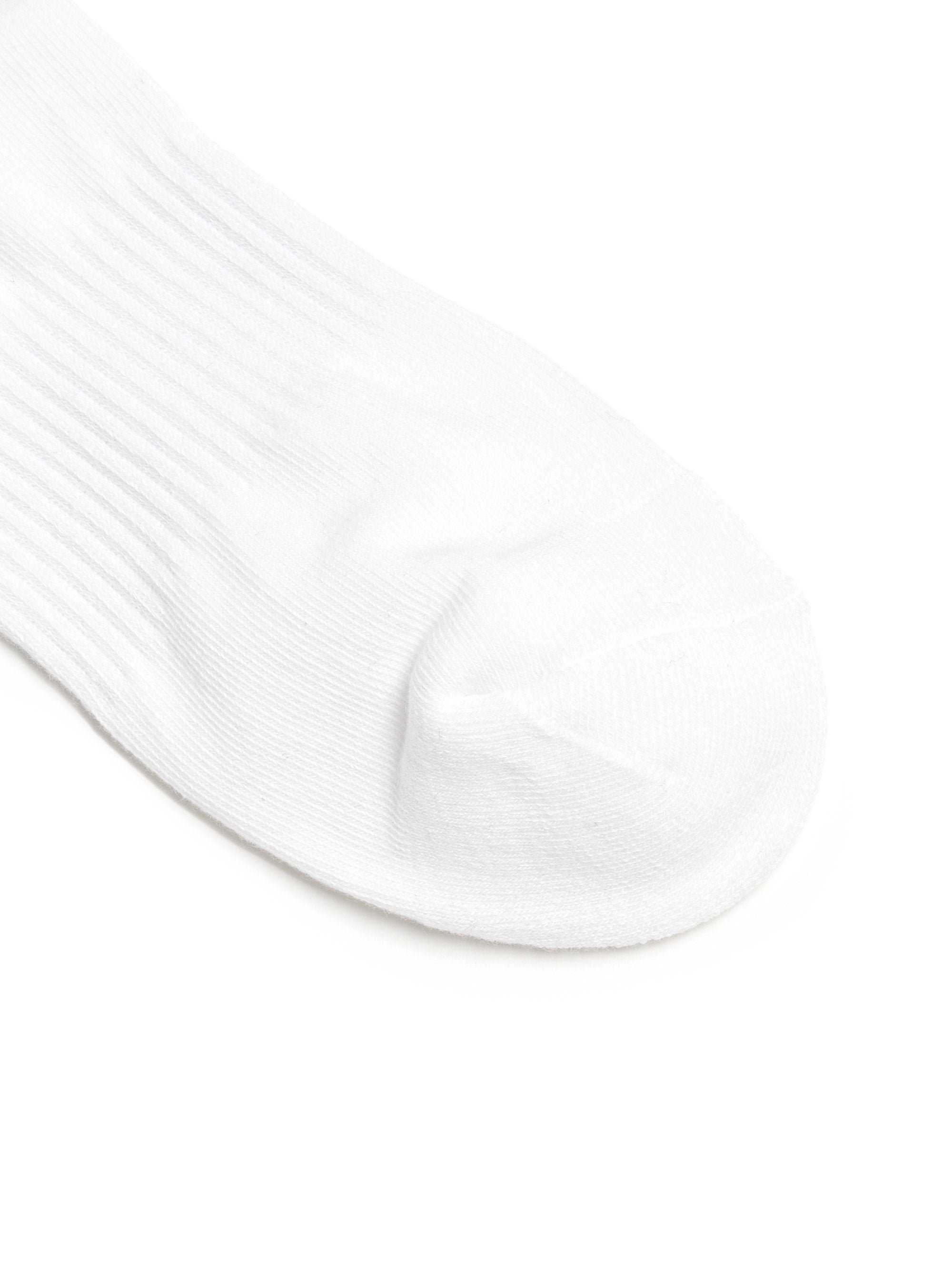 Sportive Crew Socks 2pairs Set